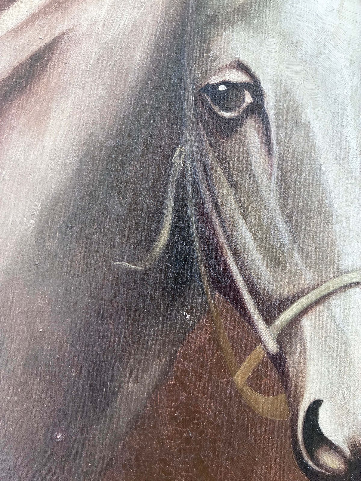 Peinture à l'huile vintage représentant un cheval blanc, portrait équestre signé photo vinterior
