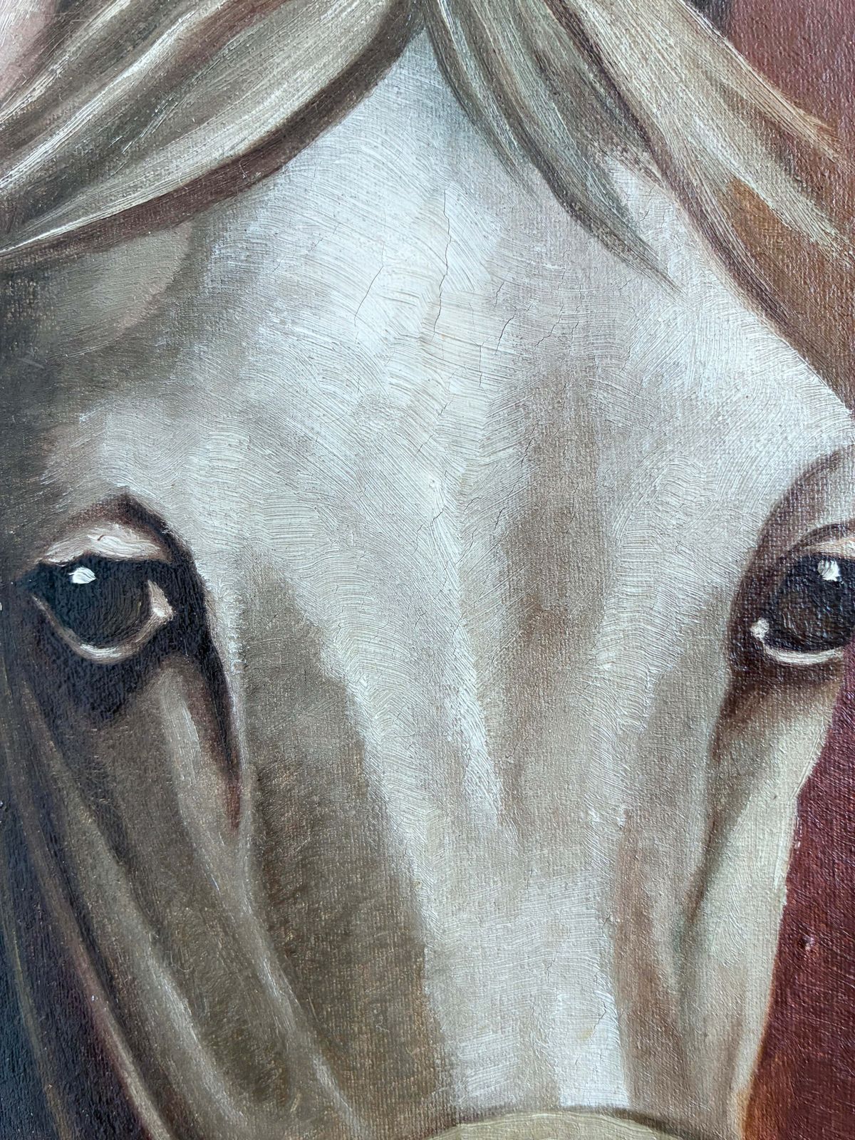 Peinture à l'huile vintage représentant un cheval blanc, portrait équestre signé photo vintage