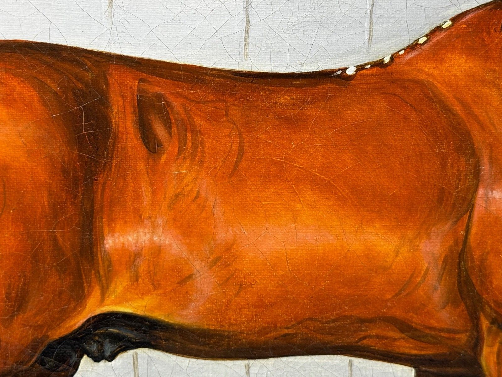 Art 19th Century Equine Oil Painting Horse Portrait William The Conqueror By Samuel Spode C1840 photo
