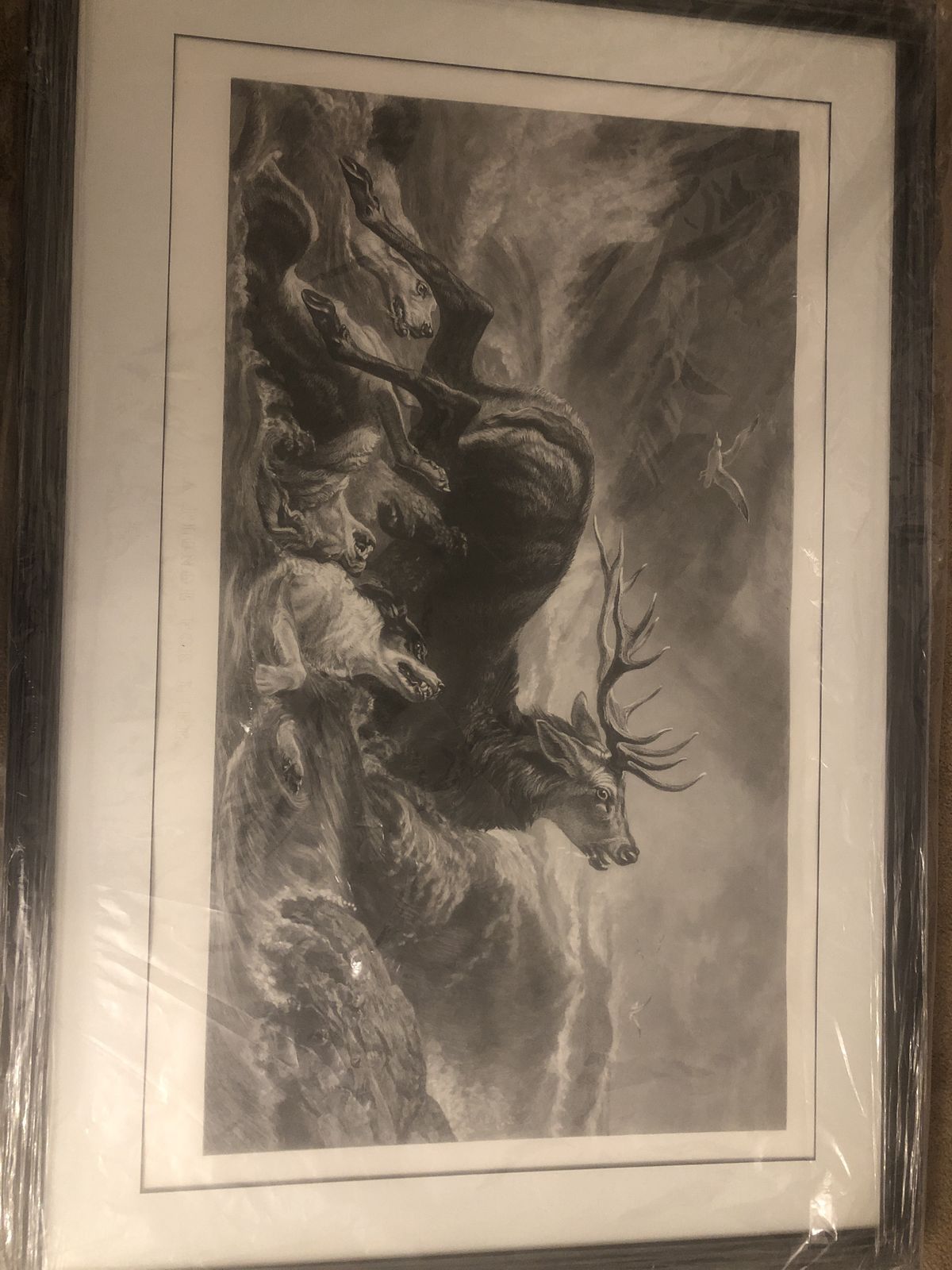 Antique Engraving – The Stag At Bay – Sir Edwin Landseer – 1870–1900 – Original Paris Label – Newly Framed photo furniture