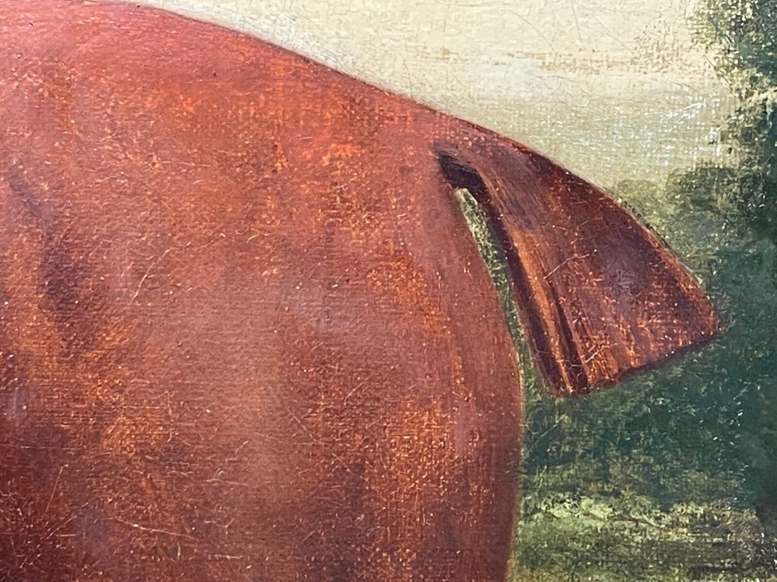 Early 19th Century Equestrian Oil Painting Bay Race Horse Partisan Bred By 4th Duke Of Grafton C1827 Signed By James Barenger. photo vintage