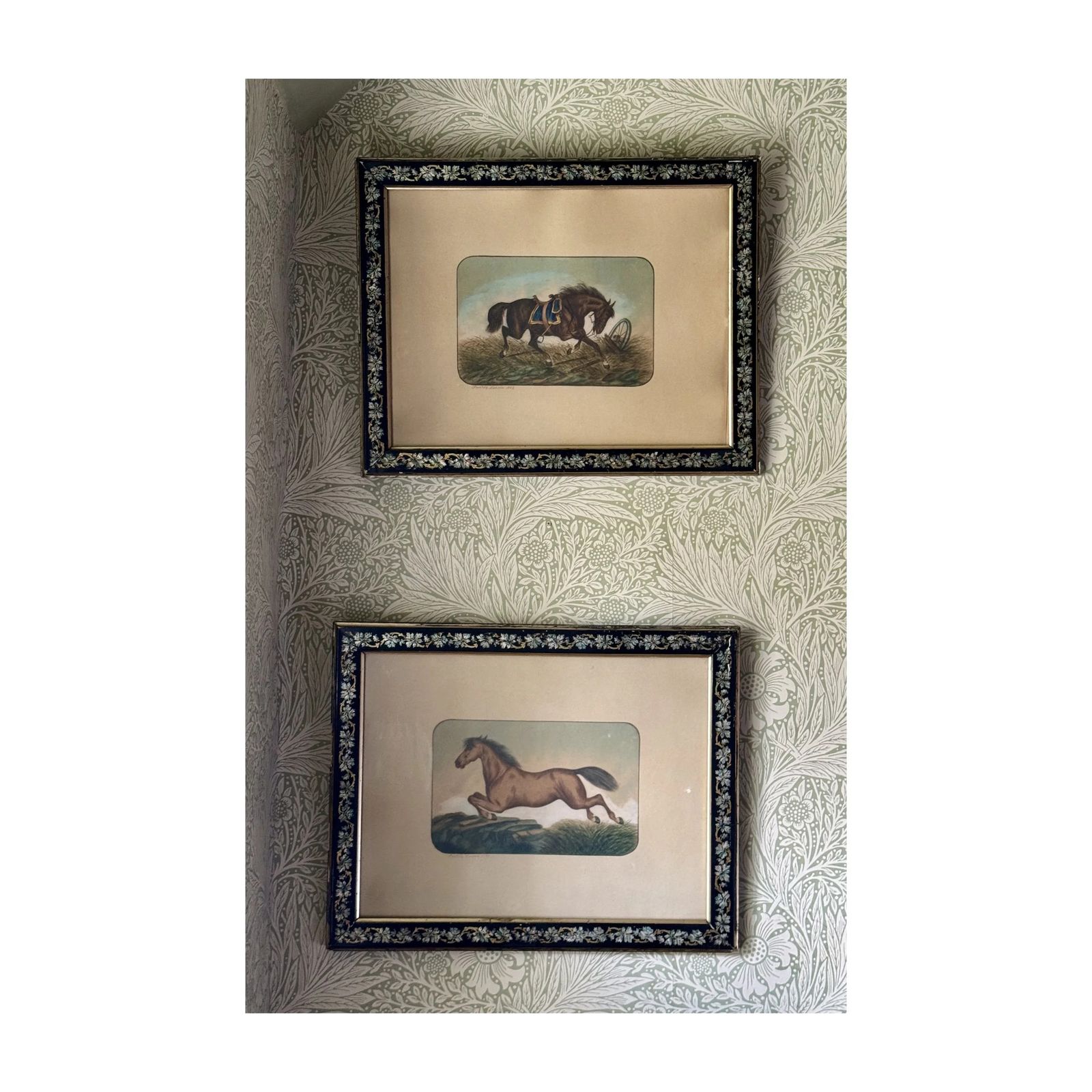 Watercolour Horse 1 Of 2, 1800s photo for sale