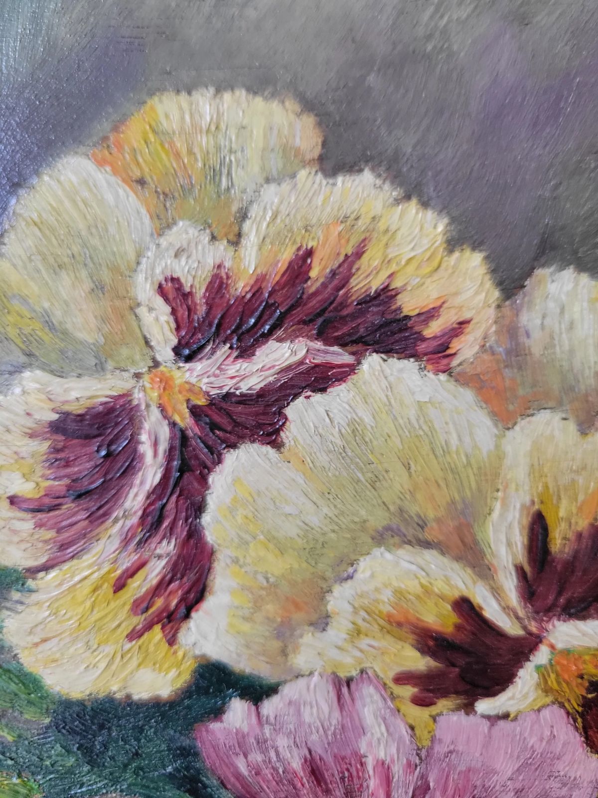 French Pansies Original Mid Century French Floral Study photo Art