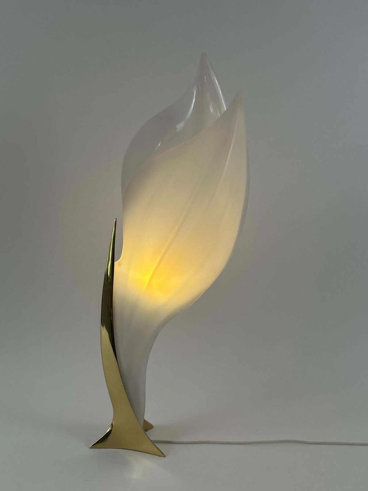 Modernist Acrylic & Brass Table Lamp Or Floor Light By Maison Rougier 1970s photo furniture