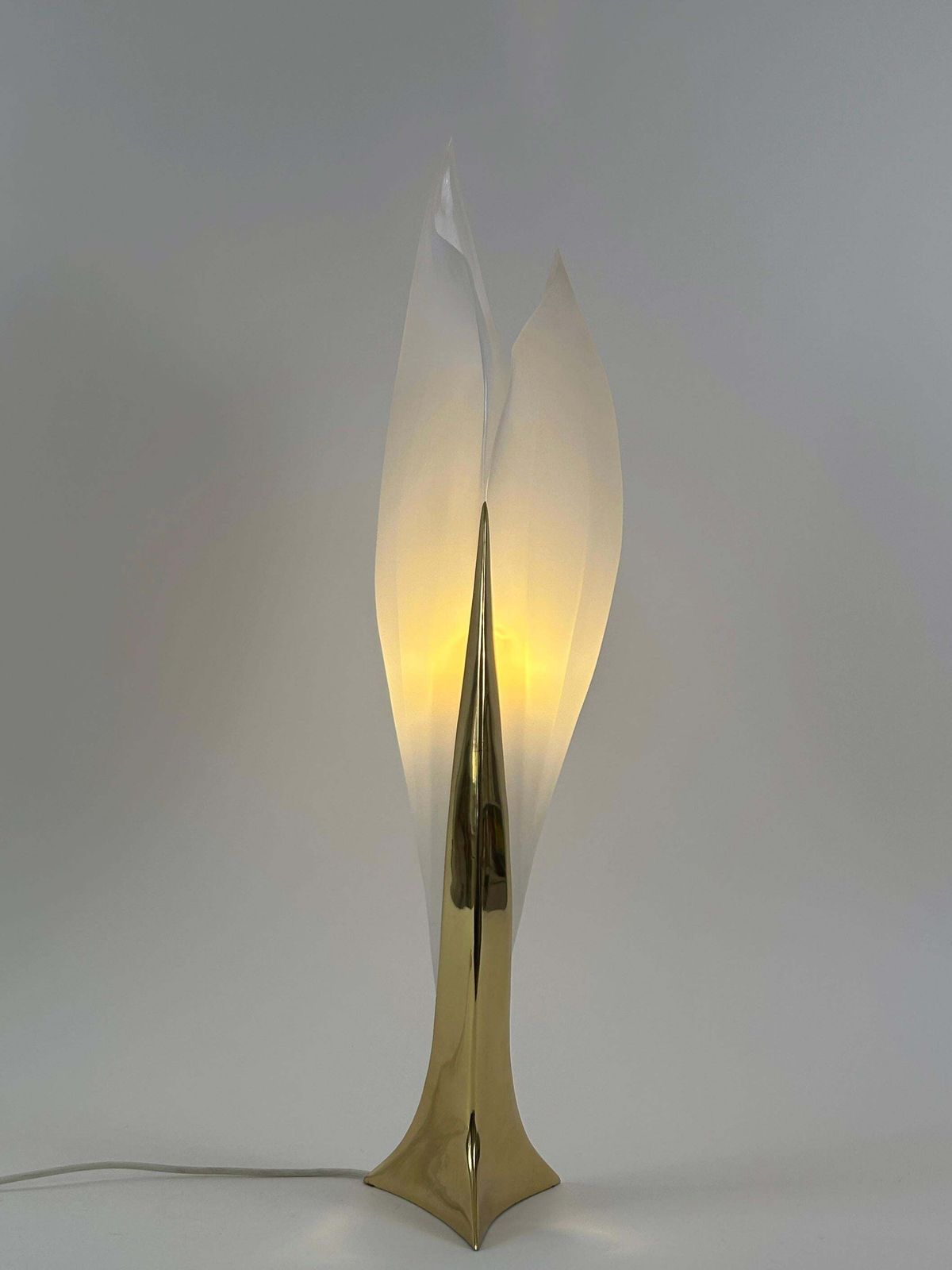 3964.0 Modernist Acrylic & Brass Table Lamp Or Floor Light By Maison Rougier 1970s photo