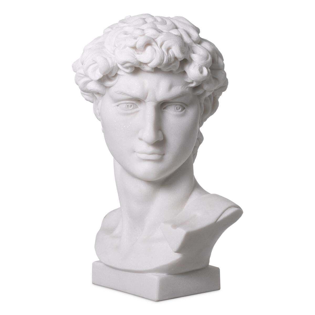 Head David Statue In White Marble Finish photo Art