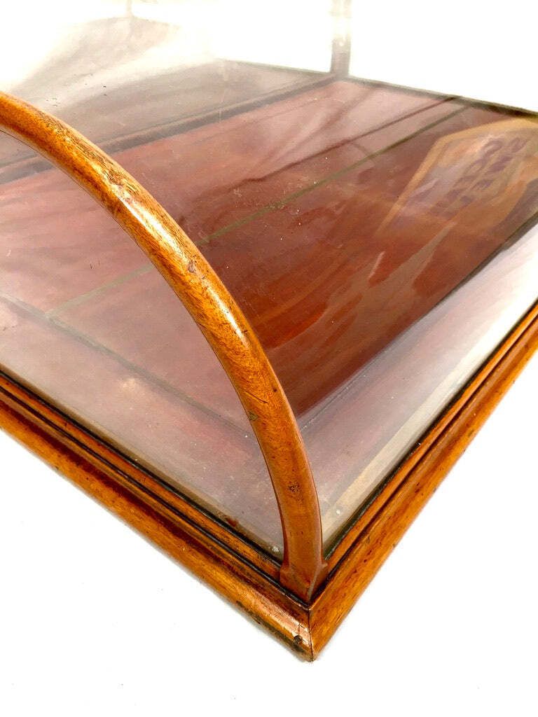 Antique Large Sized Haberdashery Shop Counter Glass Dome Display Cabinet C.1910. photo 699.0