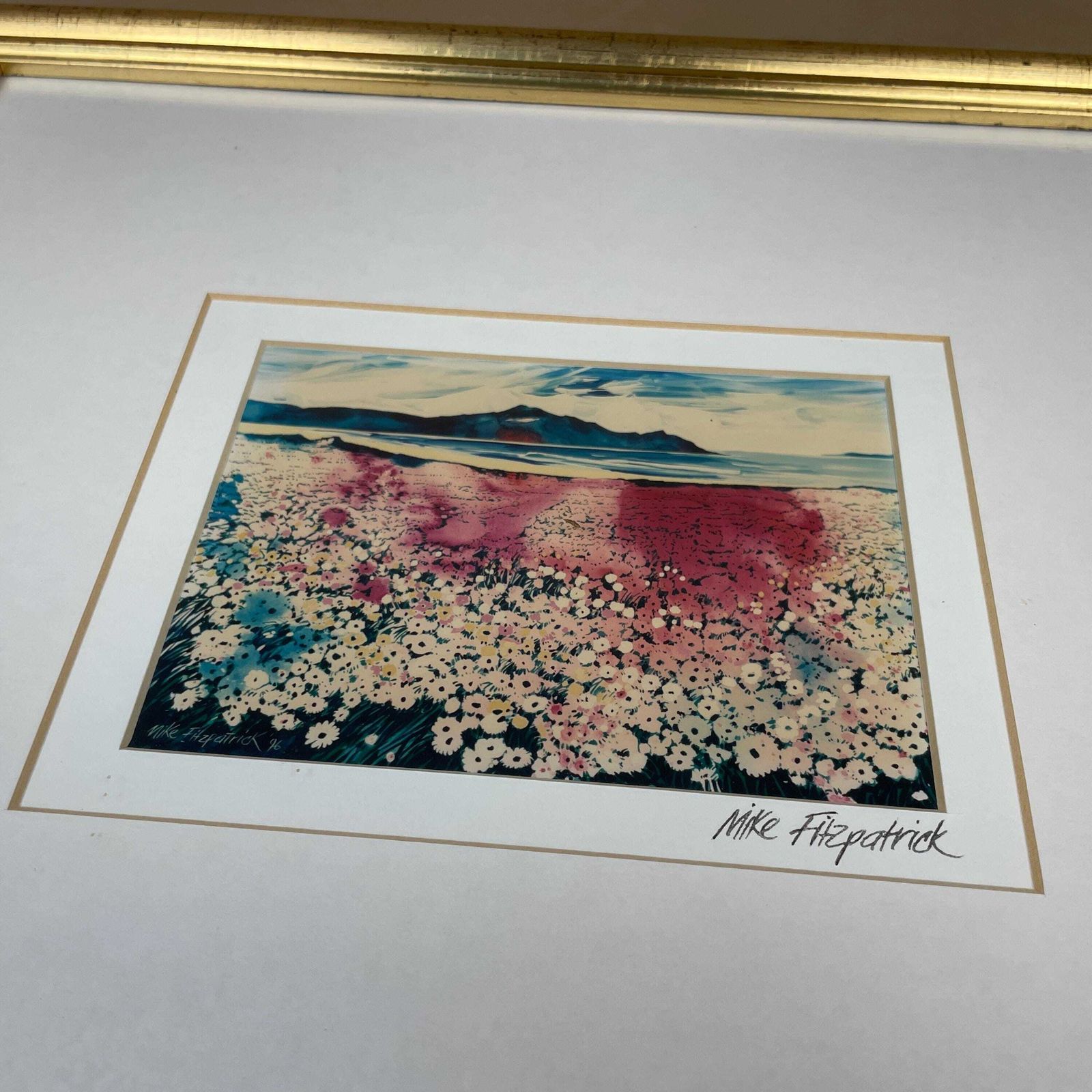 Cape Town Landscape Print Signed Mike Fitzpatrick 1993 Floral Field Framed Gold Wall Art South Africa Travel Art Collectible photo vinterior