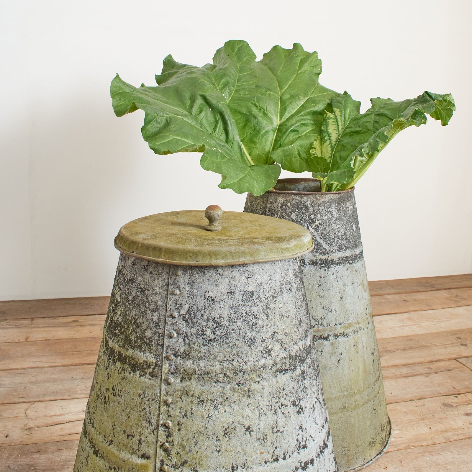 Pair Of Antique Victorian Riveted Metal Rhubarb Forcers photo for sale