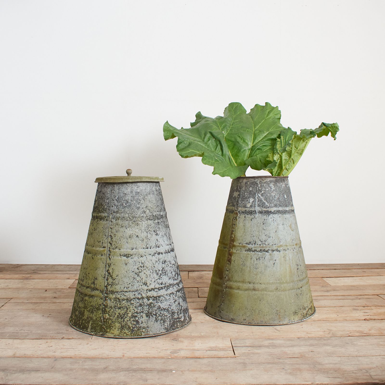 photo buy Pair Of Antique Victorian Riveted Metal Rhubarb Forcers