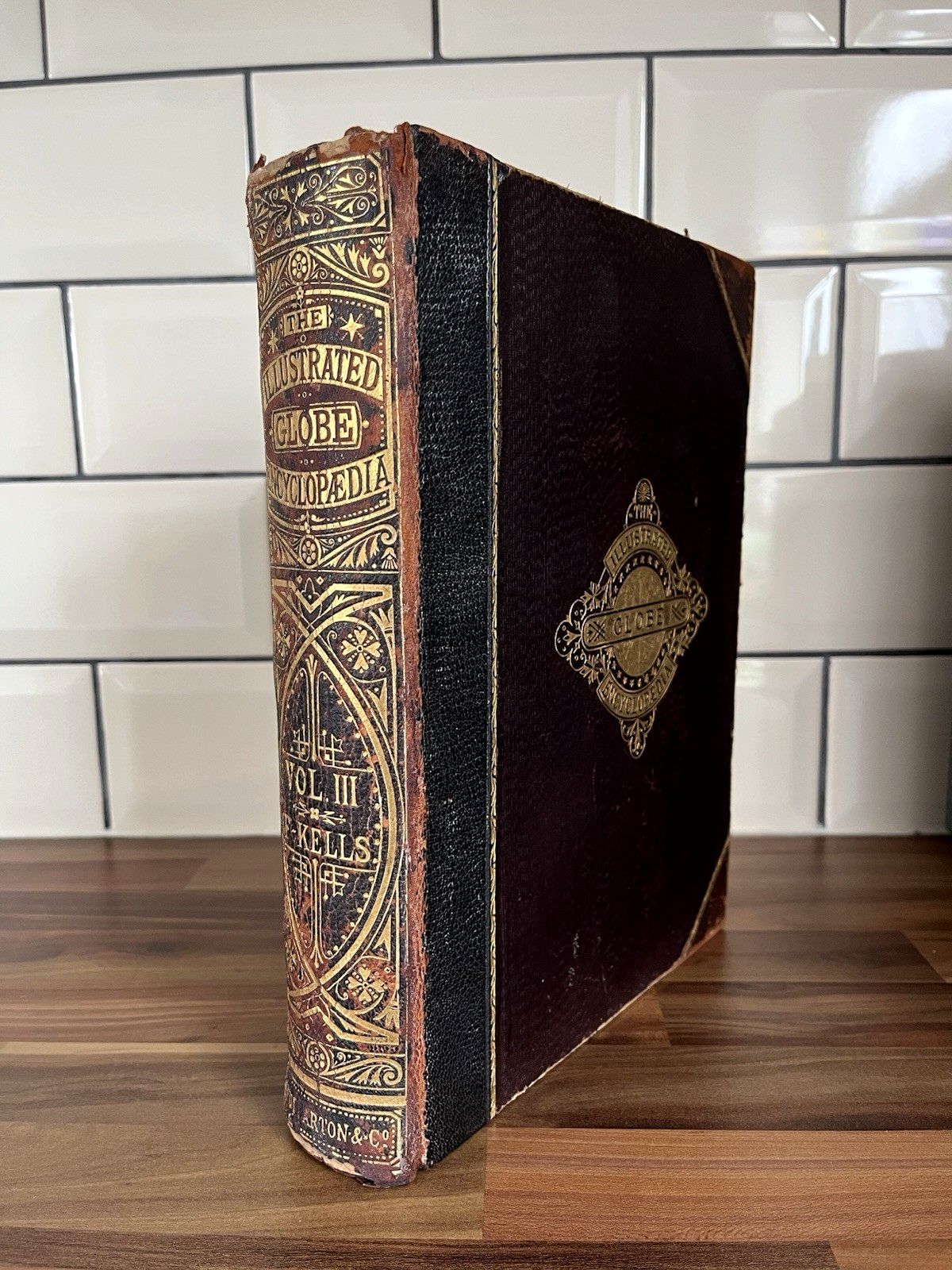 Antique Victorian Decorative Book 1880 Gilt Leather Globe Encyclopaedia Vol III photo vintage