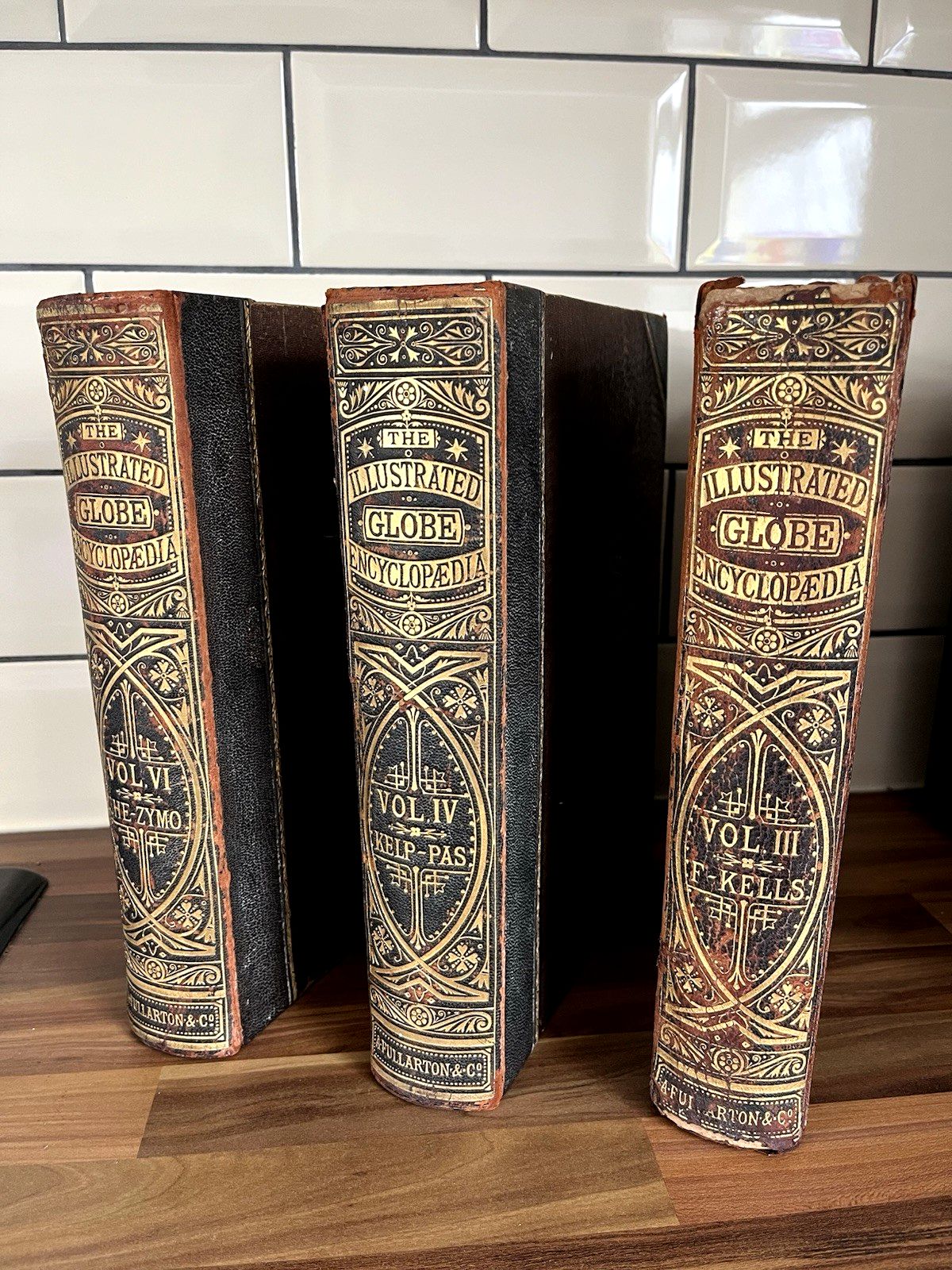 50.0 Antique Victorian Decorative Book 1880 Gilt Leather Globe Encyclopaedia Vol III photo