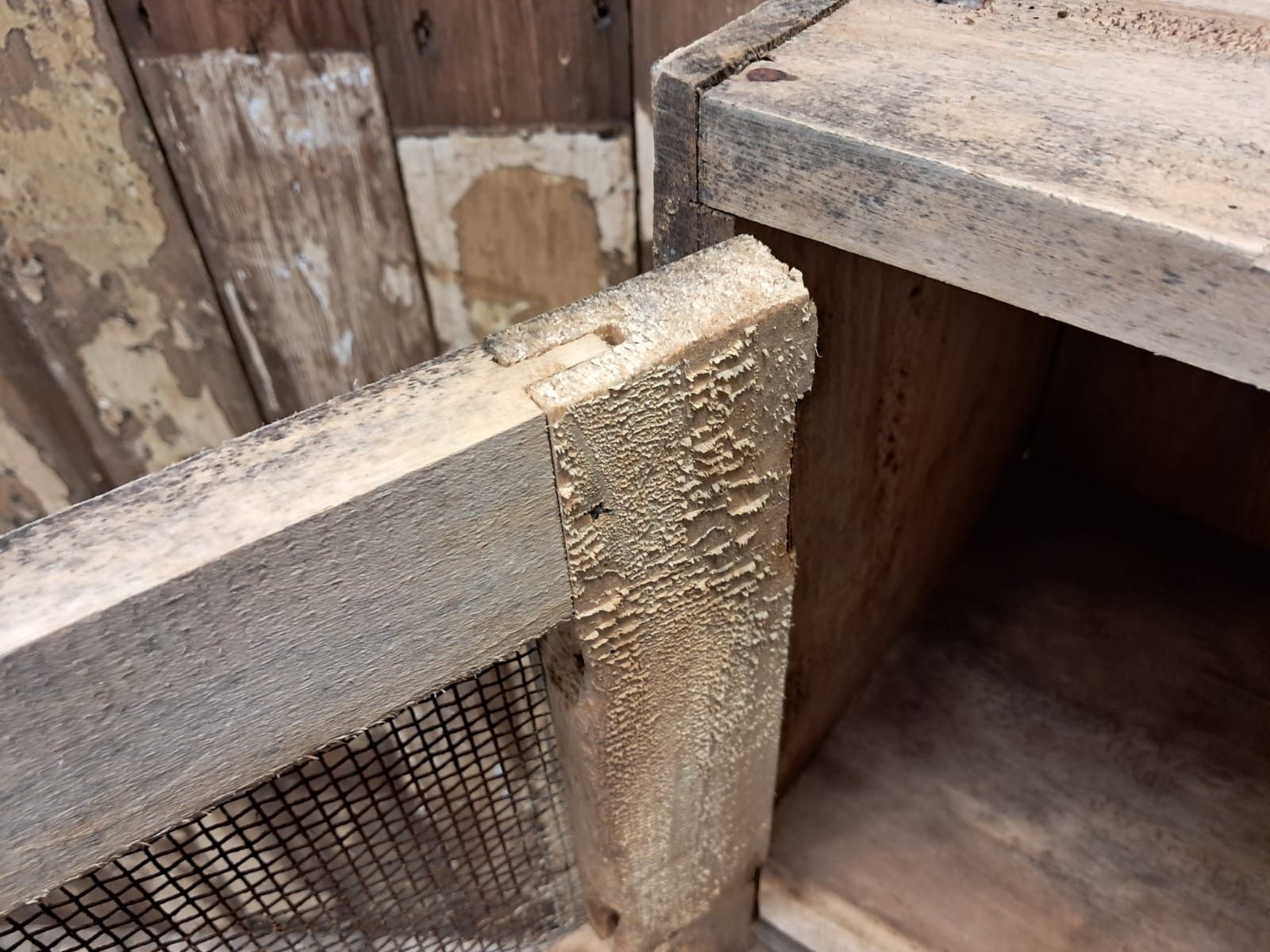 Furniture Rustic Chicken Coop Cupboard photo