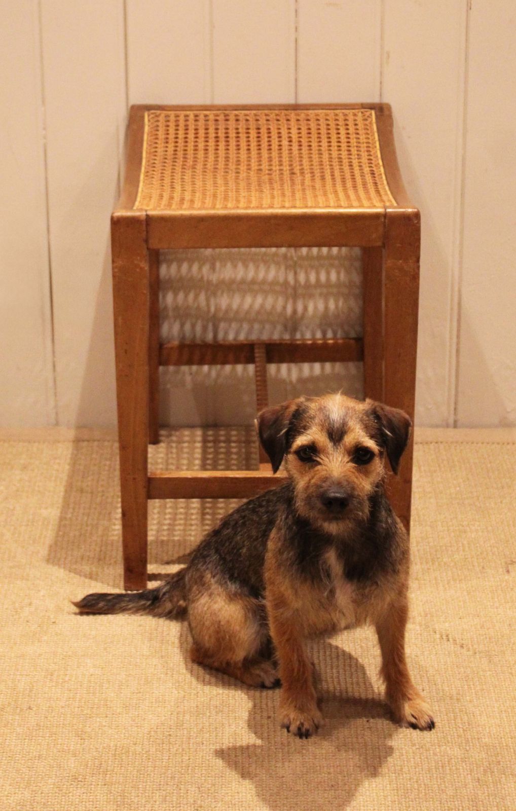 Furniture Beech Wood Cane Seated Stool photo