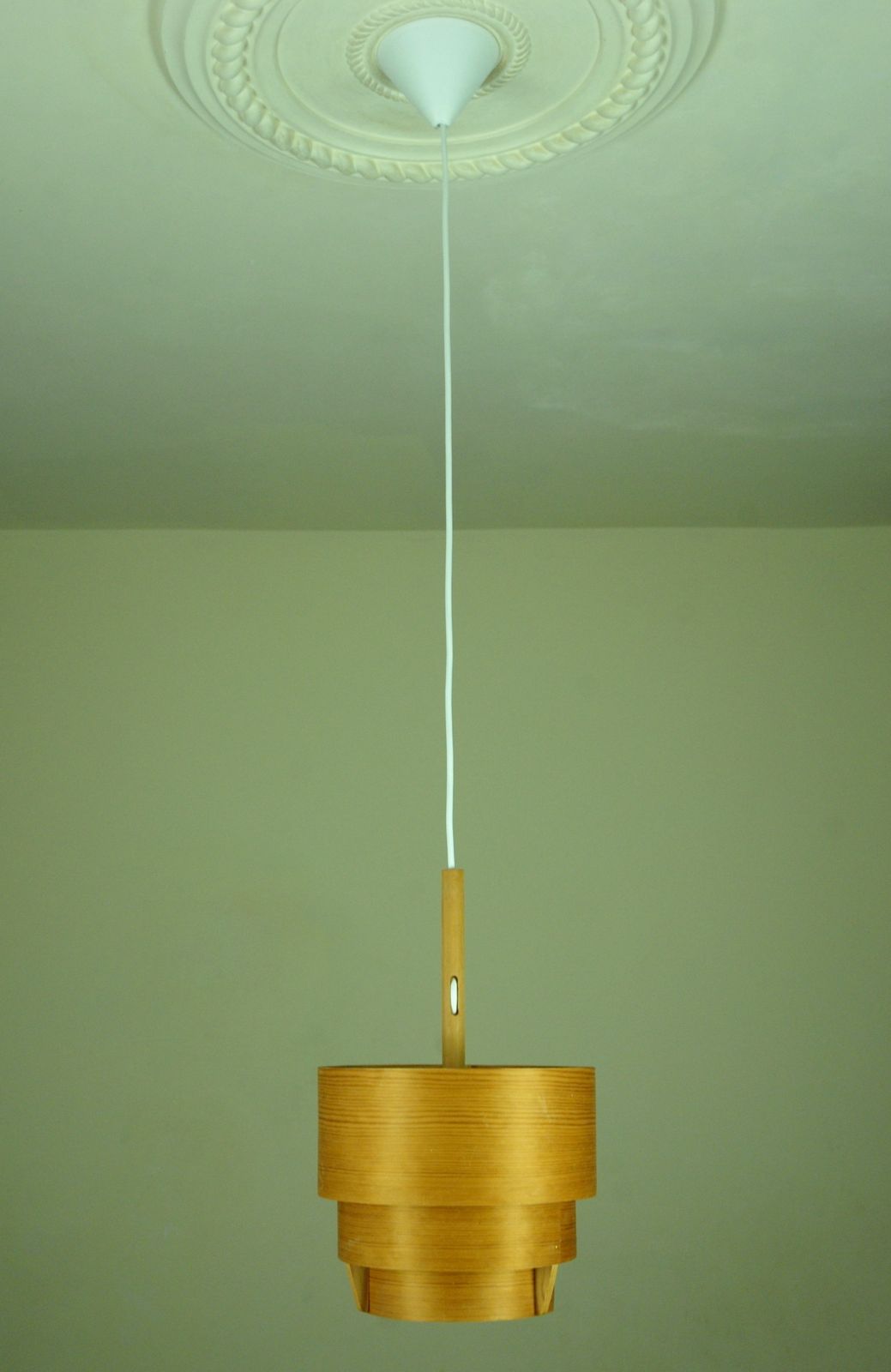 645.0 Model T353 Pendant By Hans Agne Jakobsson For Ab Ellysett, Markaryd, Sweden, 1950s photo