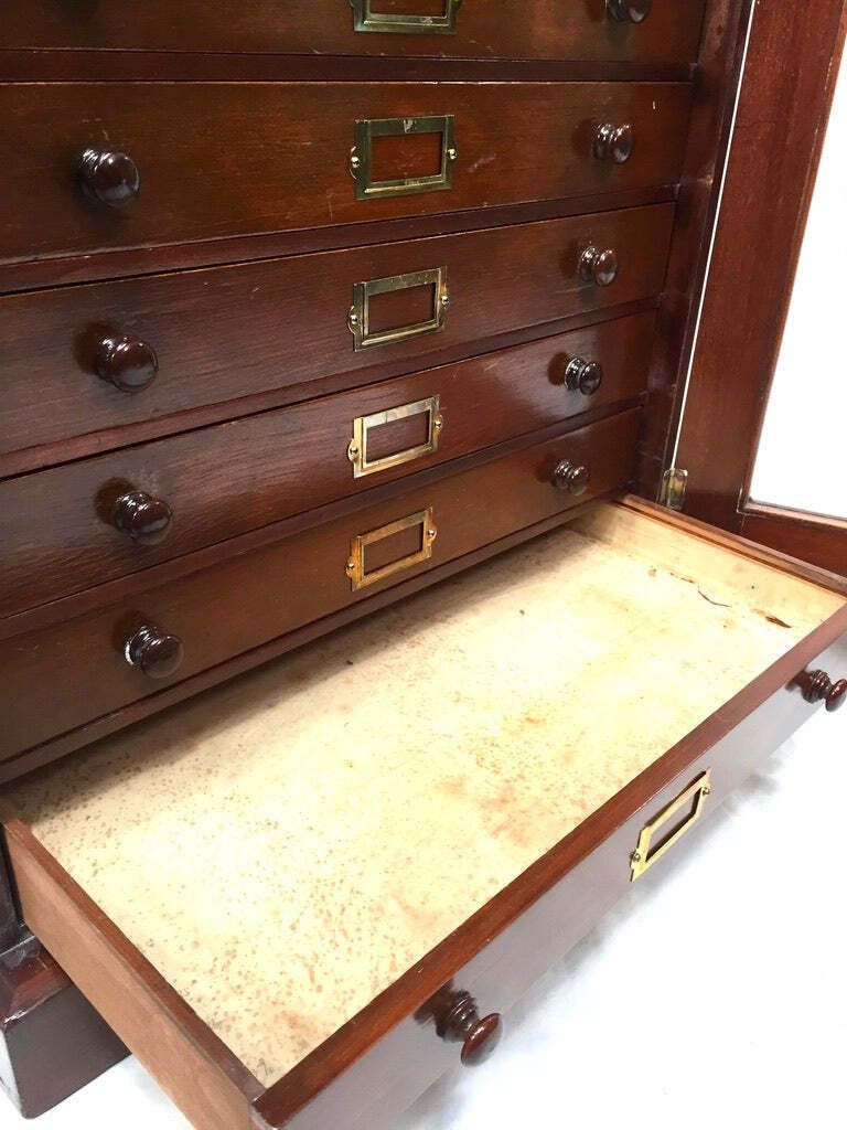 Antique Victorian Mahogany & Glass Specimen Collectors Filing Drawer Cabinet photo buy