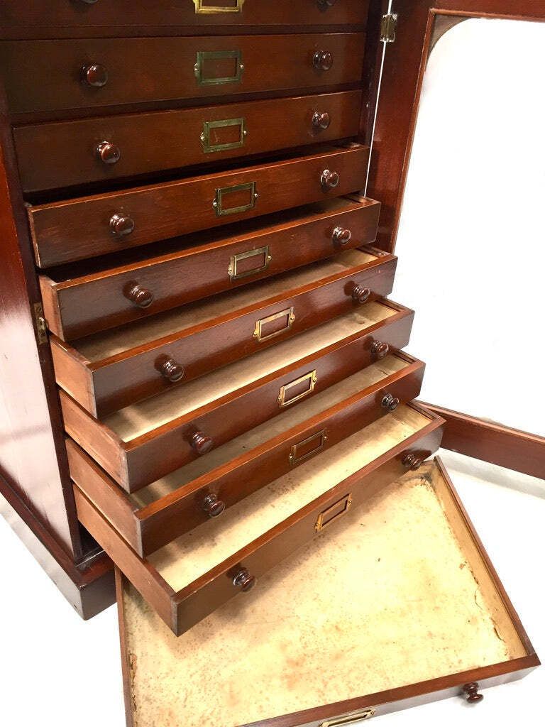 Antique Victorian Mahogany & Glass Specimen Collectors Filing Drawer Cabinet photo vintage