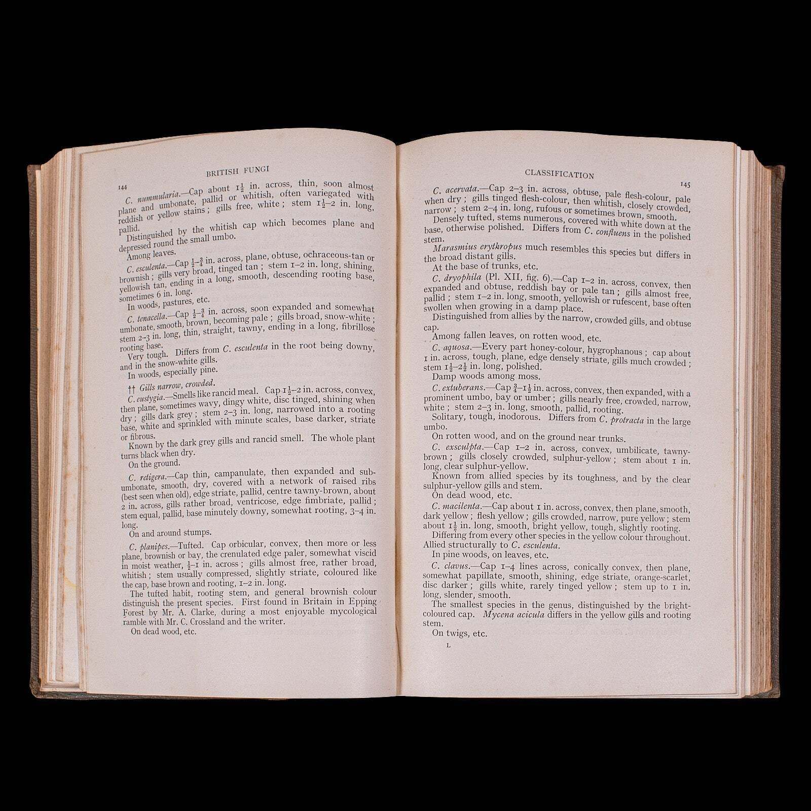 photo furniture Antique Reference Book, British Fungi, George Massee, English, Natural, Science