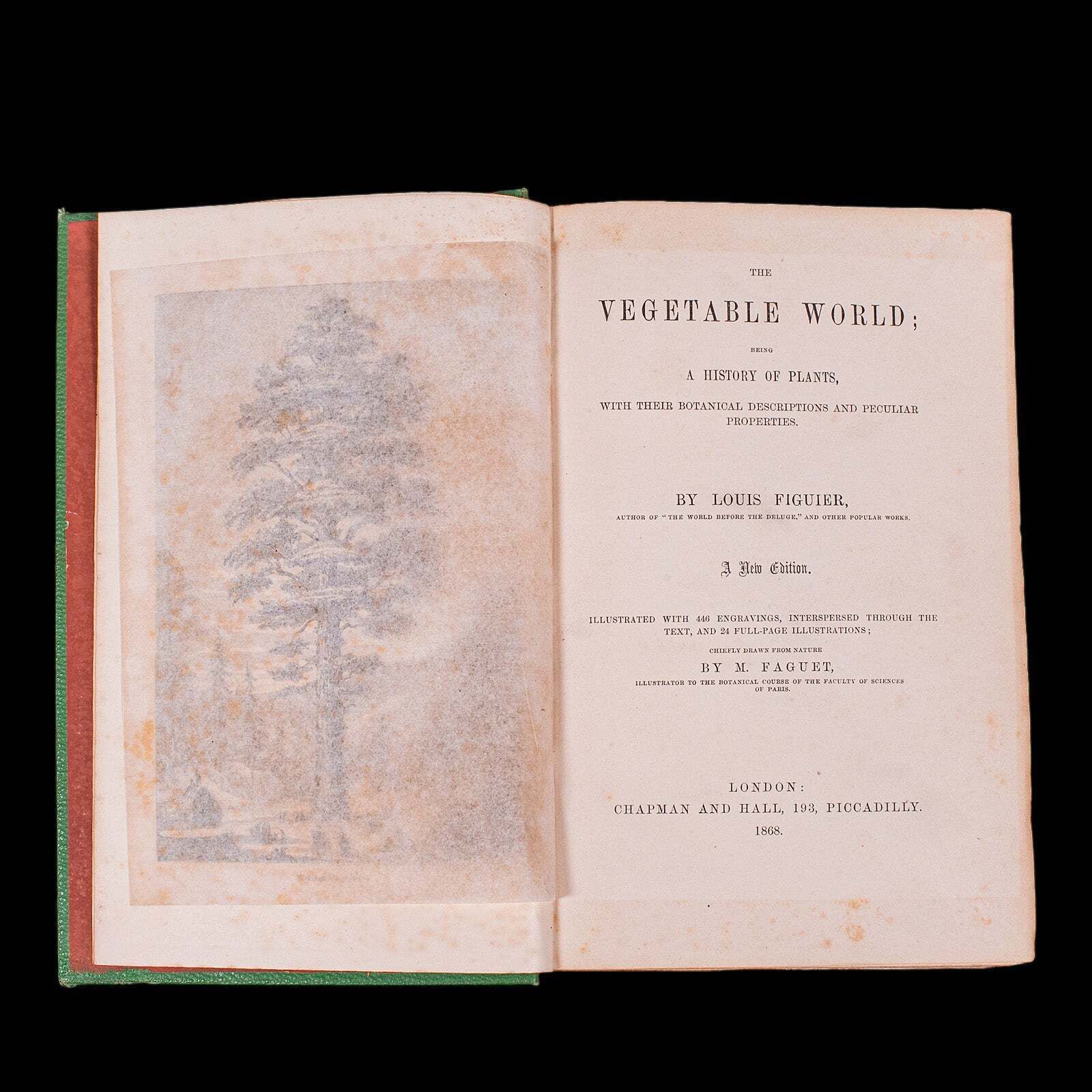 Antique Reference Book, The Vegetable World, English, Louis Figuier, Victorian photo Home Decor