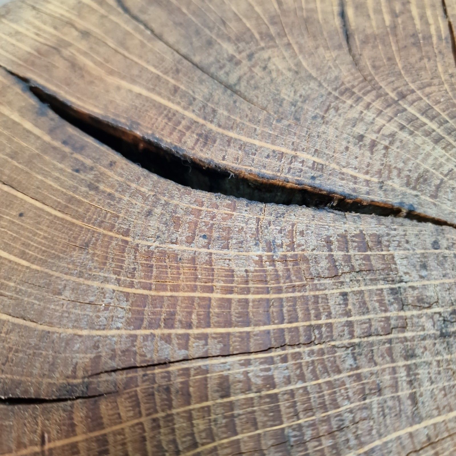 photo furniture Rustic Tree Coffee Table Solid Hardwood Live Edge Trunk Root Branch Base Wood
