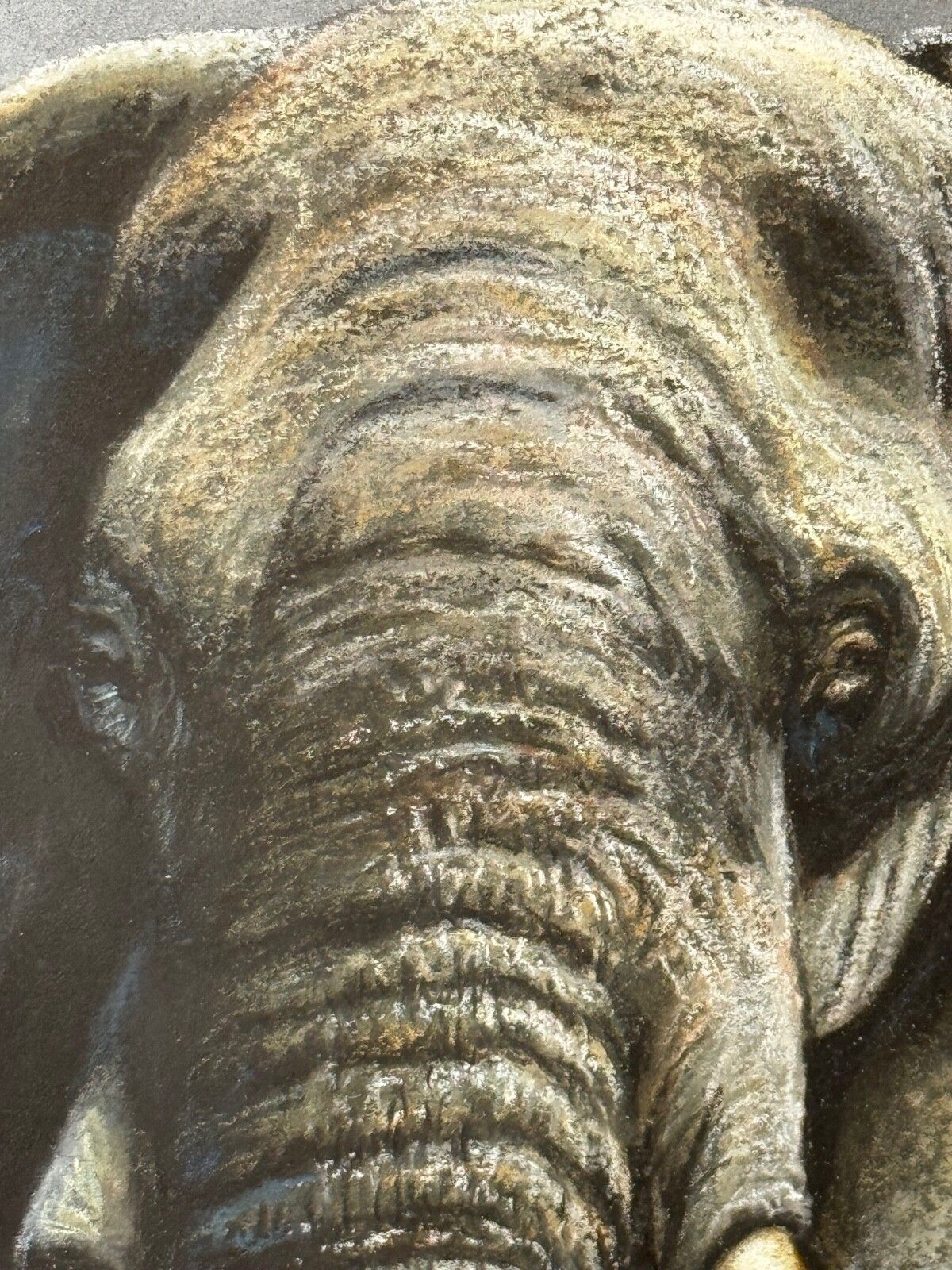 photo buy 20th Century Painting Bull Elephant Ready To Charge Kruger National Park Signed Peter Jepson With Exhibition Label
