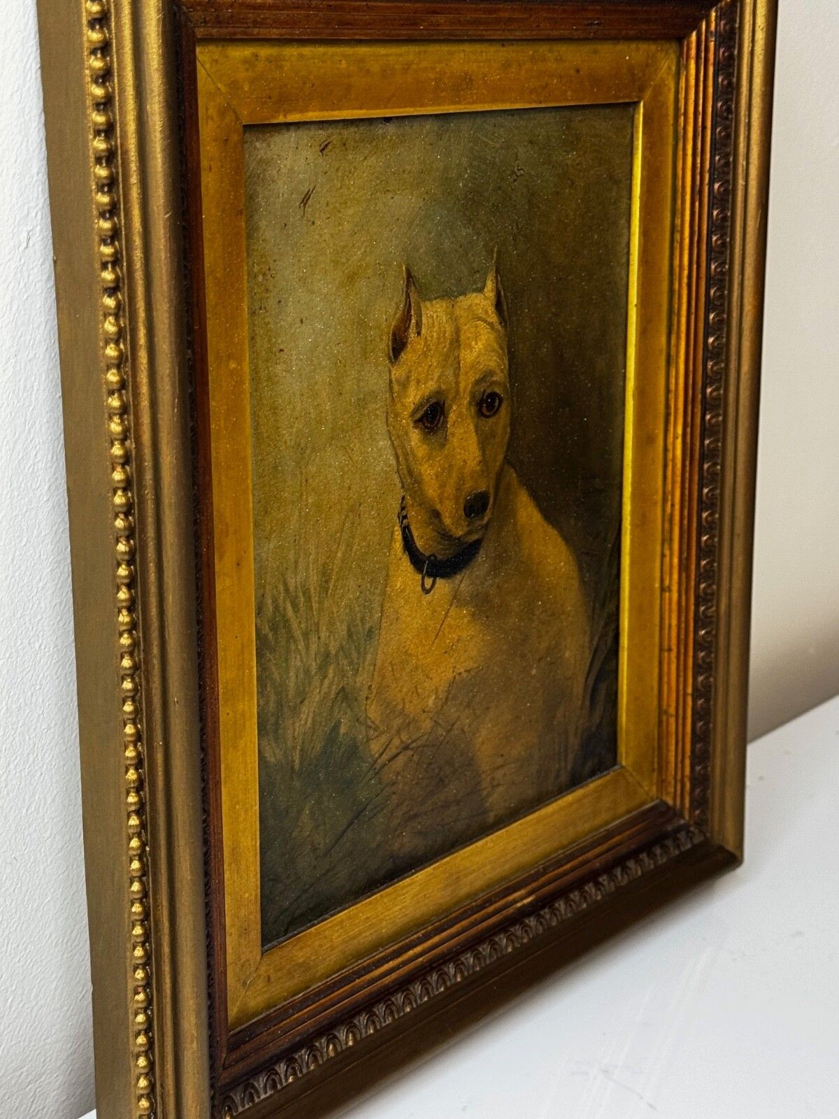 19th Century Oil Painting Animal Portrait  Extinct White English Terrier Follow Of John Emms photo for sale