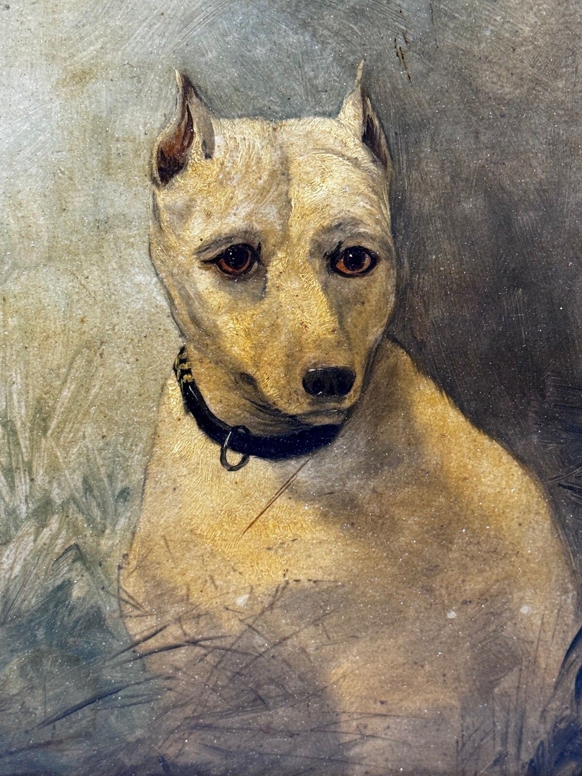photo for sale 19th Century Oil Painting Animal Portrait  Extinct White English Terrier Follow Of John Emms