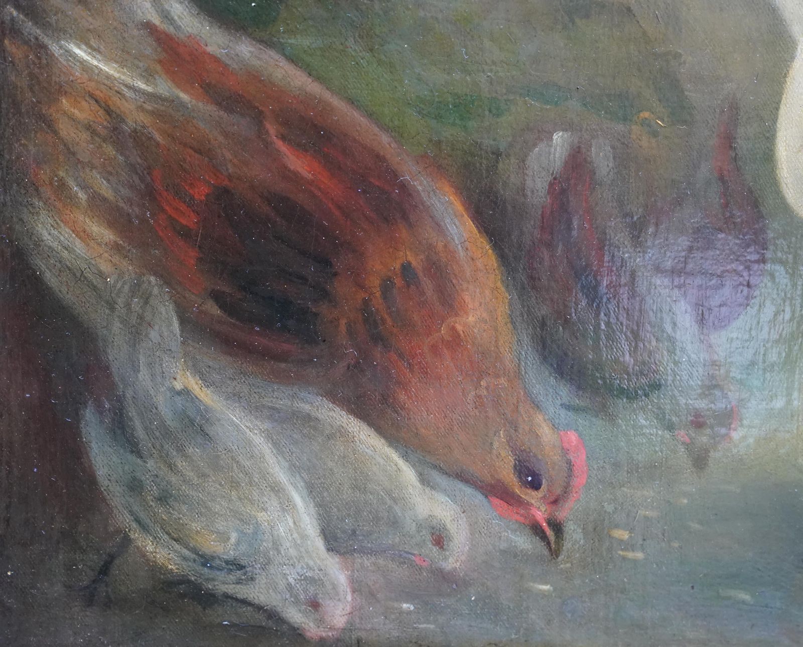 photo for sale William Owen Portrait Of Young Girl Feeding Chickens   British 19th Century Art Oil Painting Circa 1810