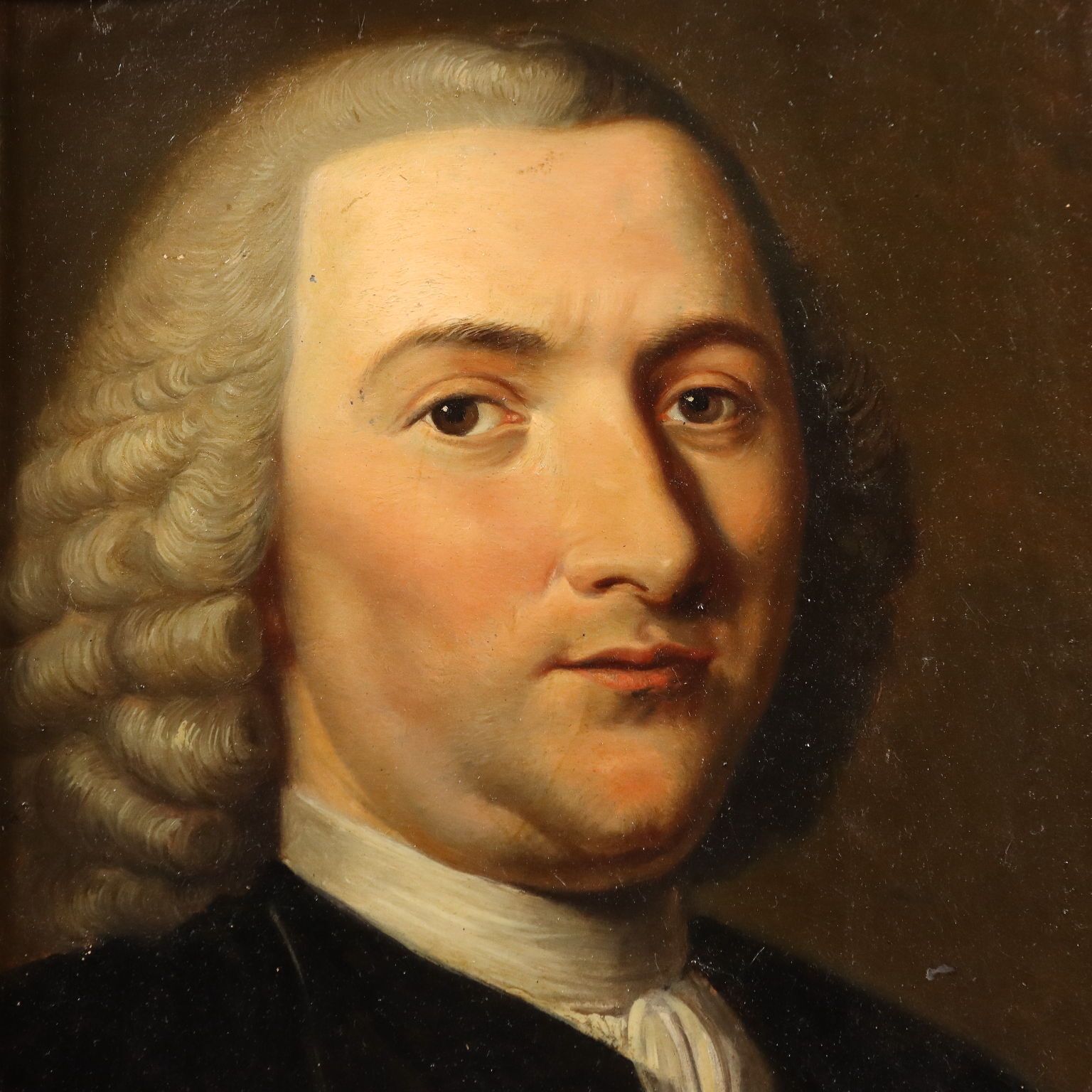 Tableau d'époque, portrait de Petrus Camper, huile sur panneau, XVIIIe siècle photo for sale