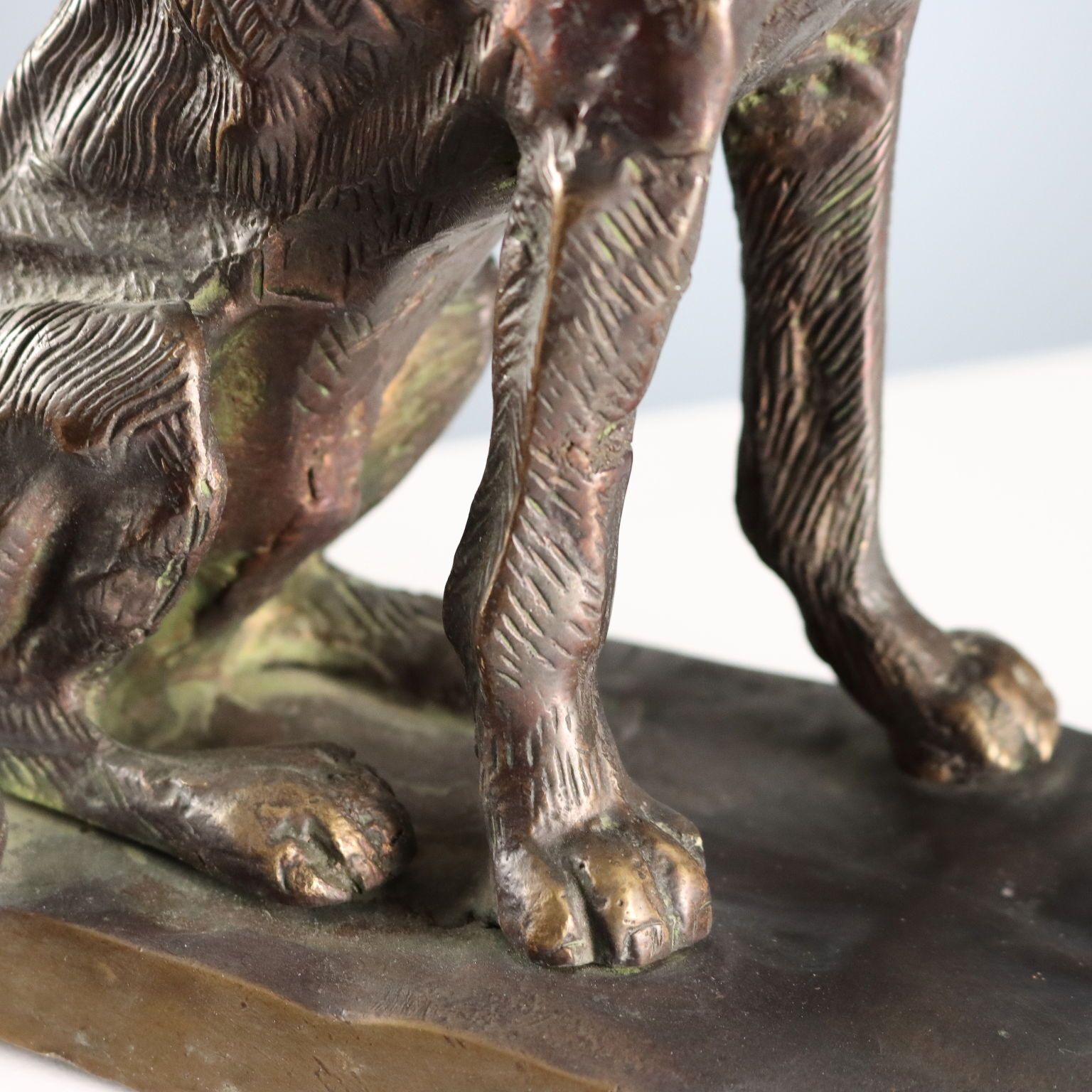 Antique Sculpture Bronze Dog Italy Early XX Century photo 150.0
