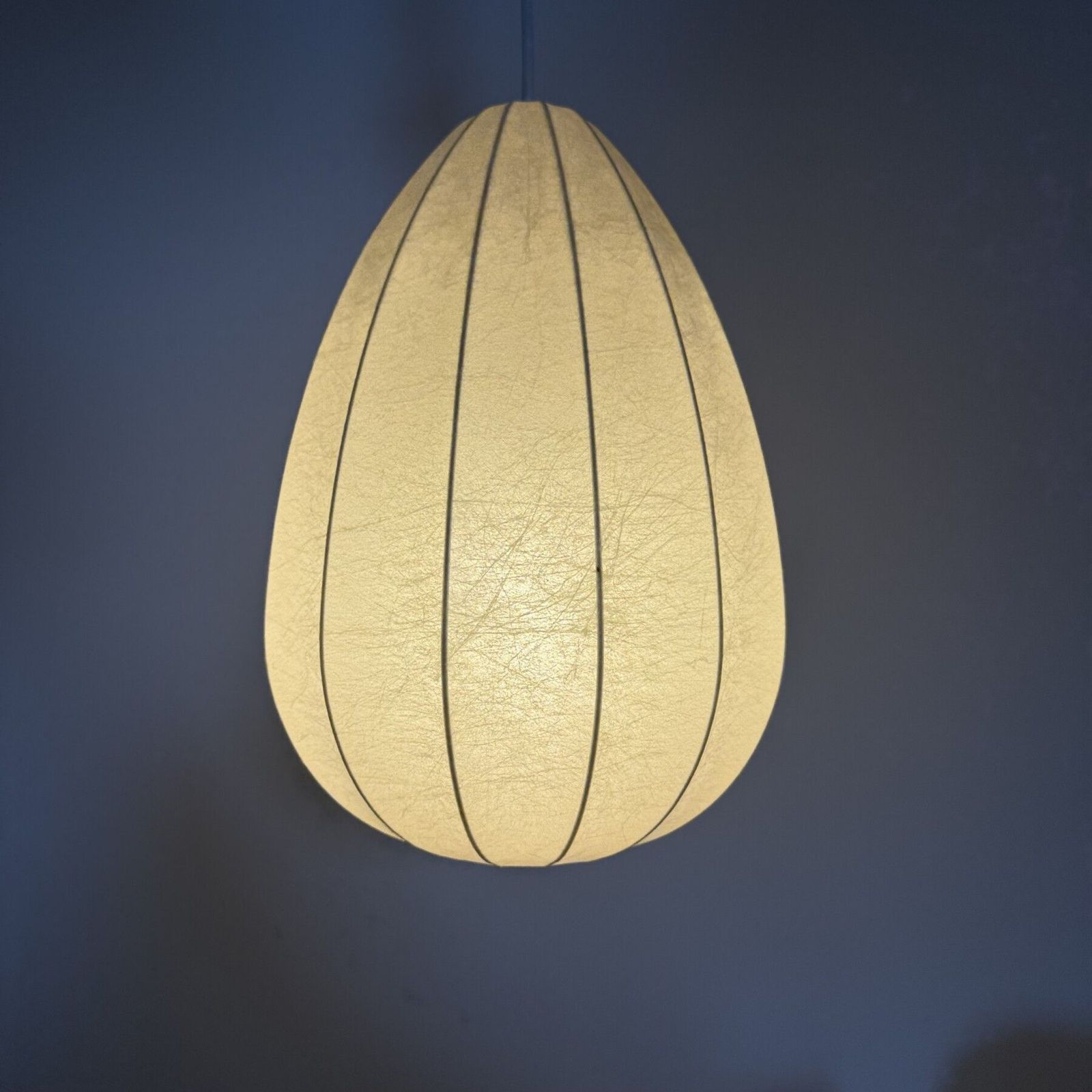 Cocoon Hanglamp Van Friedel Wauer Voor Goldkant Leuchten, Hars, Duitsland, Jaren 1960 photo furniture