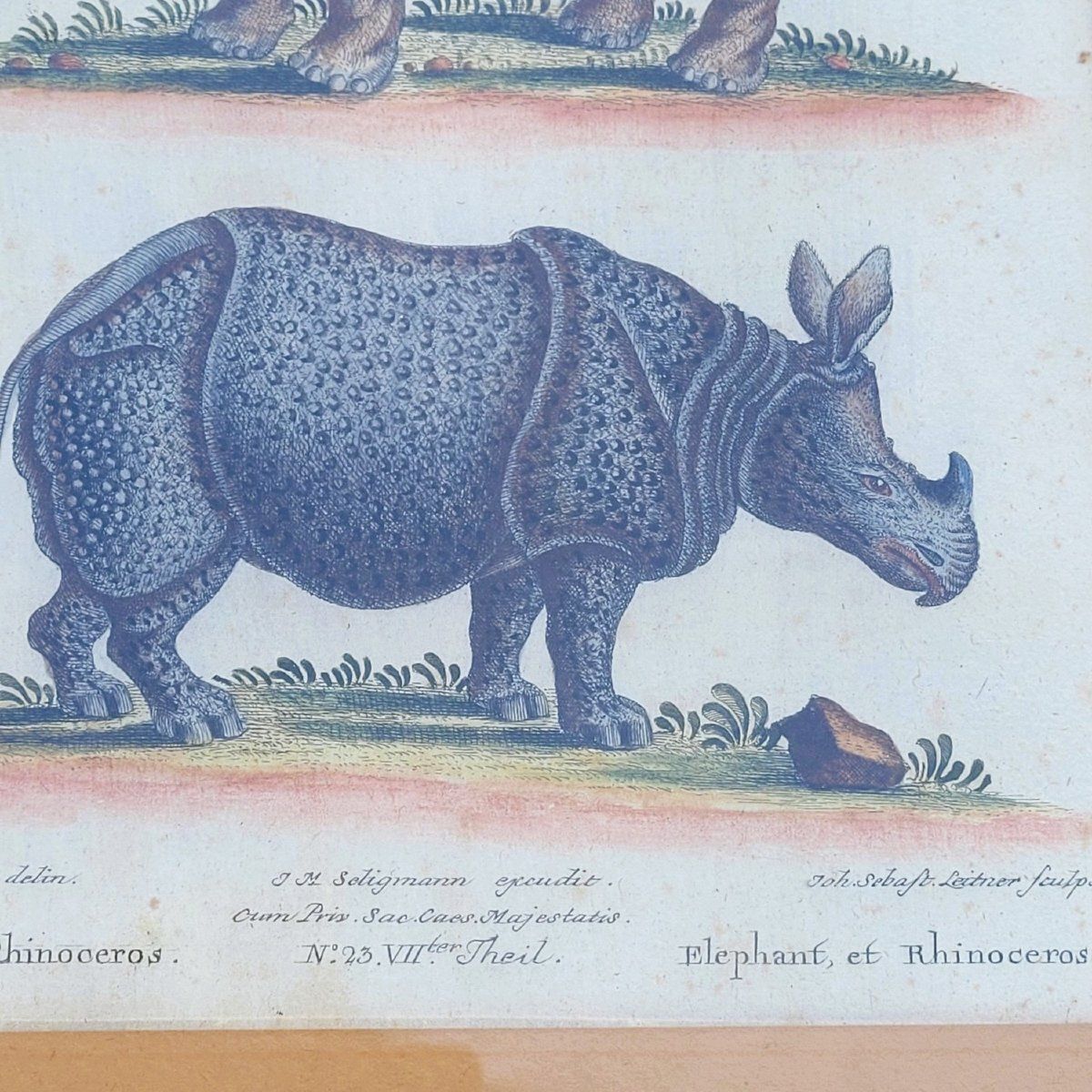 photo for sale Suite van 6 ingelijste dierengravures, 19e eeuw