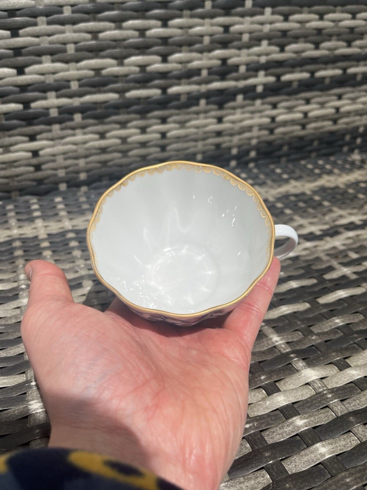 1 Russian China Lomonosov Bindweed Winding Twig Blue White Cabinet Cup & Saucer photo vintage