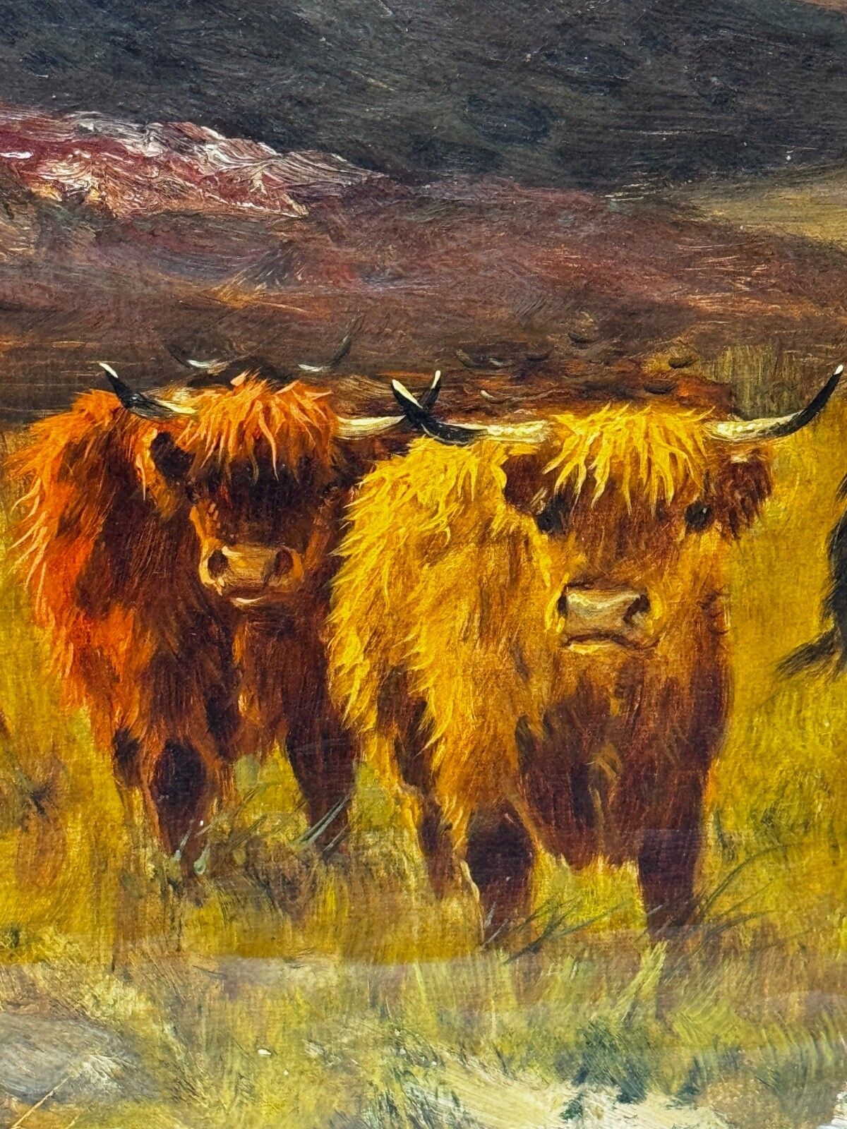 7200.0 19th Century Oil Painting Longhorn Cattle West Scottish Highlands Signed By Gustave De Brianski photo