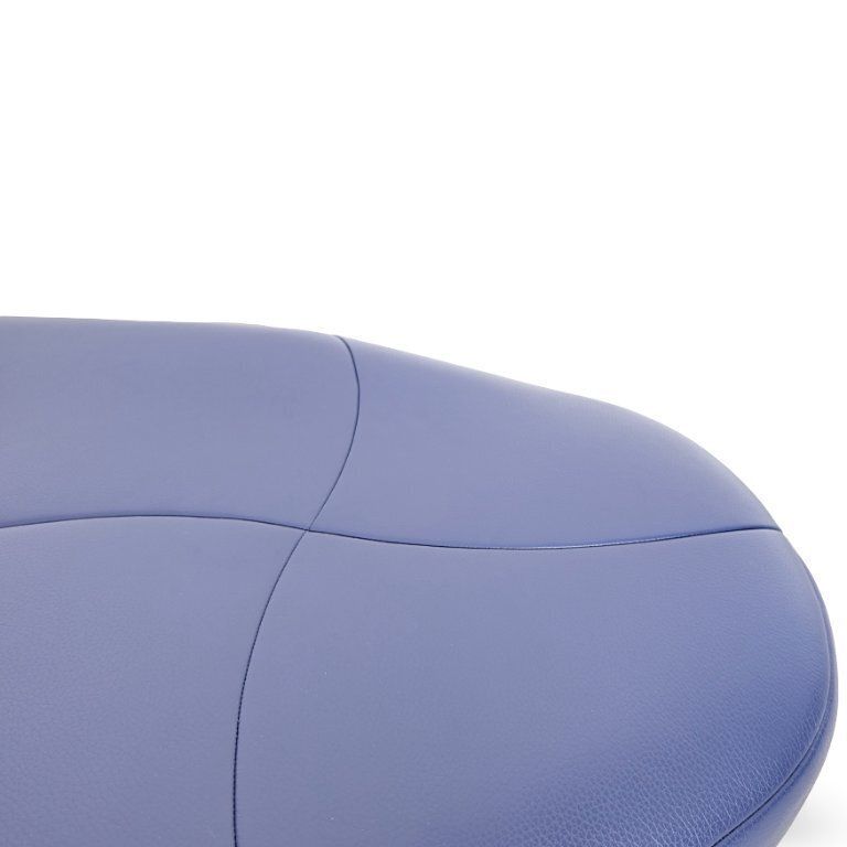 photo for sale 1x Chaise Longue Leolux Kikki Lounger Chaise Longue Leer Roze Blauw