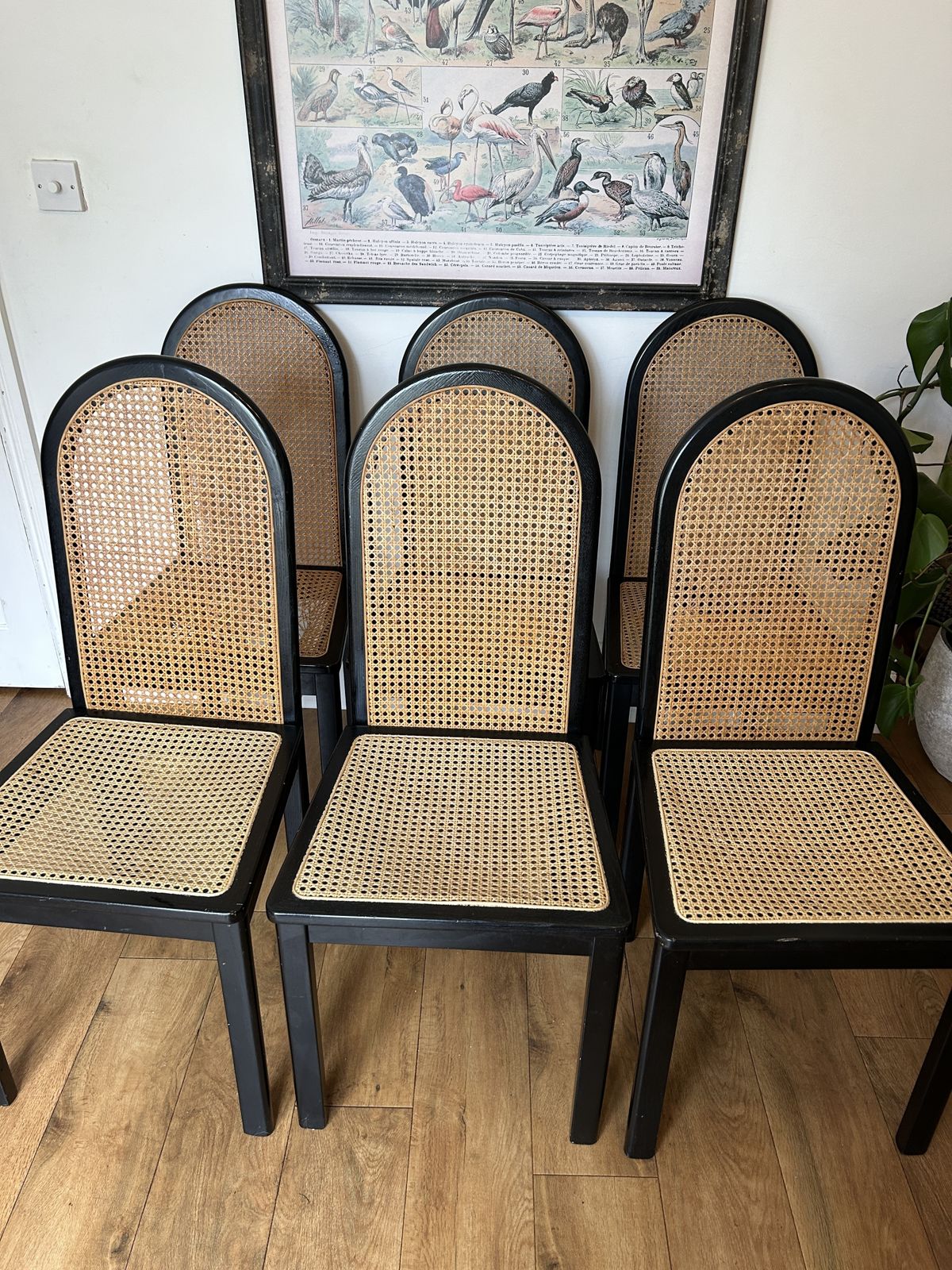 Terence Conran For Habitat Ebonised Rattan 1980s Chairs