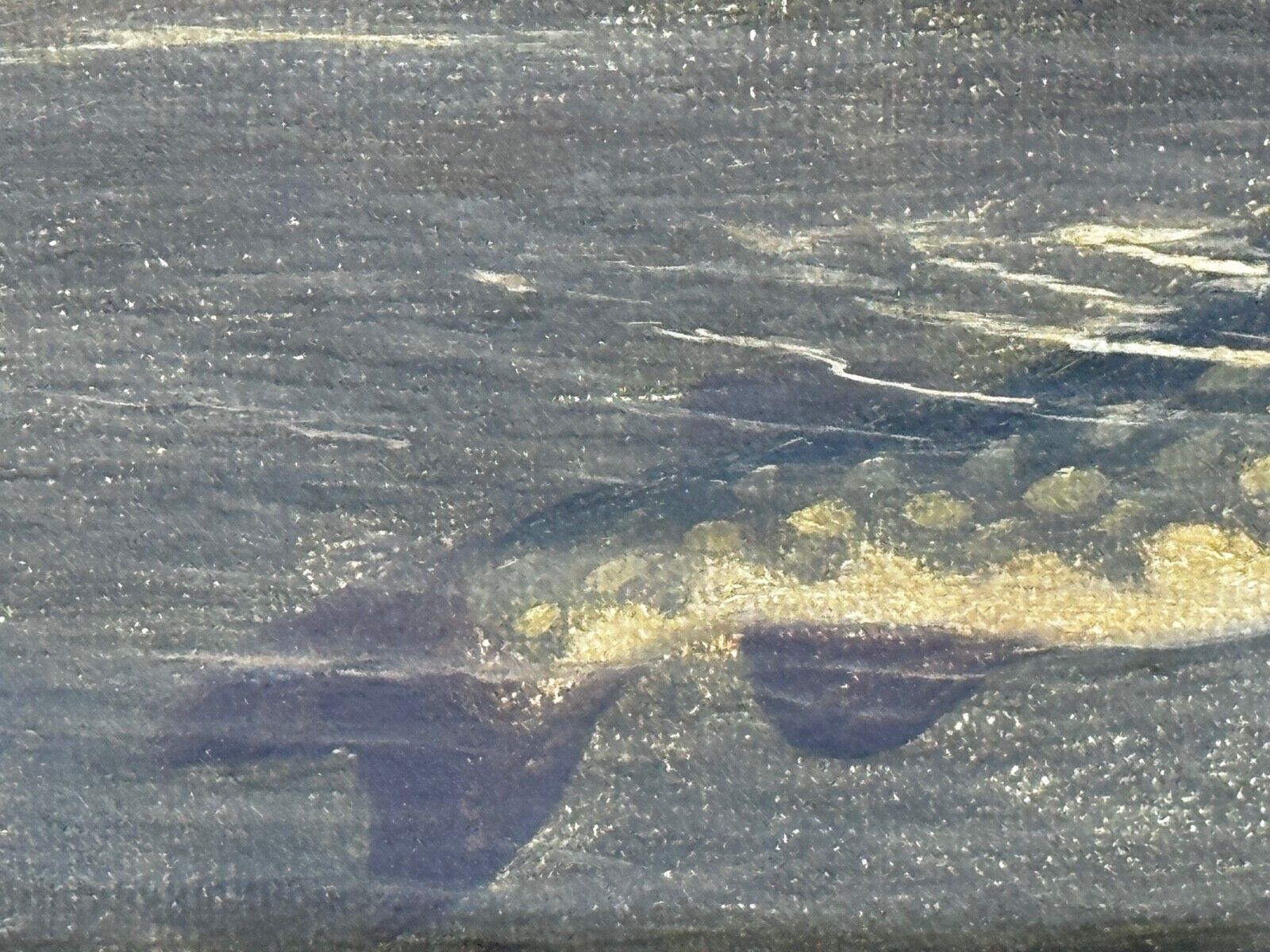 photo vinterior Hengelsport olieverfchilderij snoek aan de oppervlakte gevangen door Arthur Roland Knight 1890