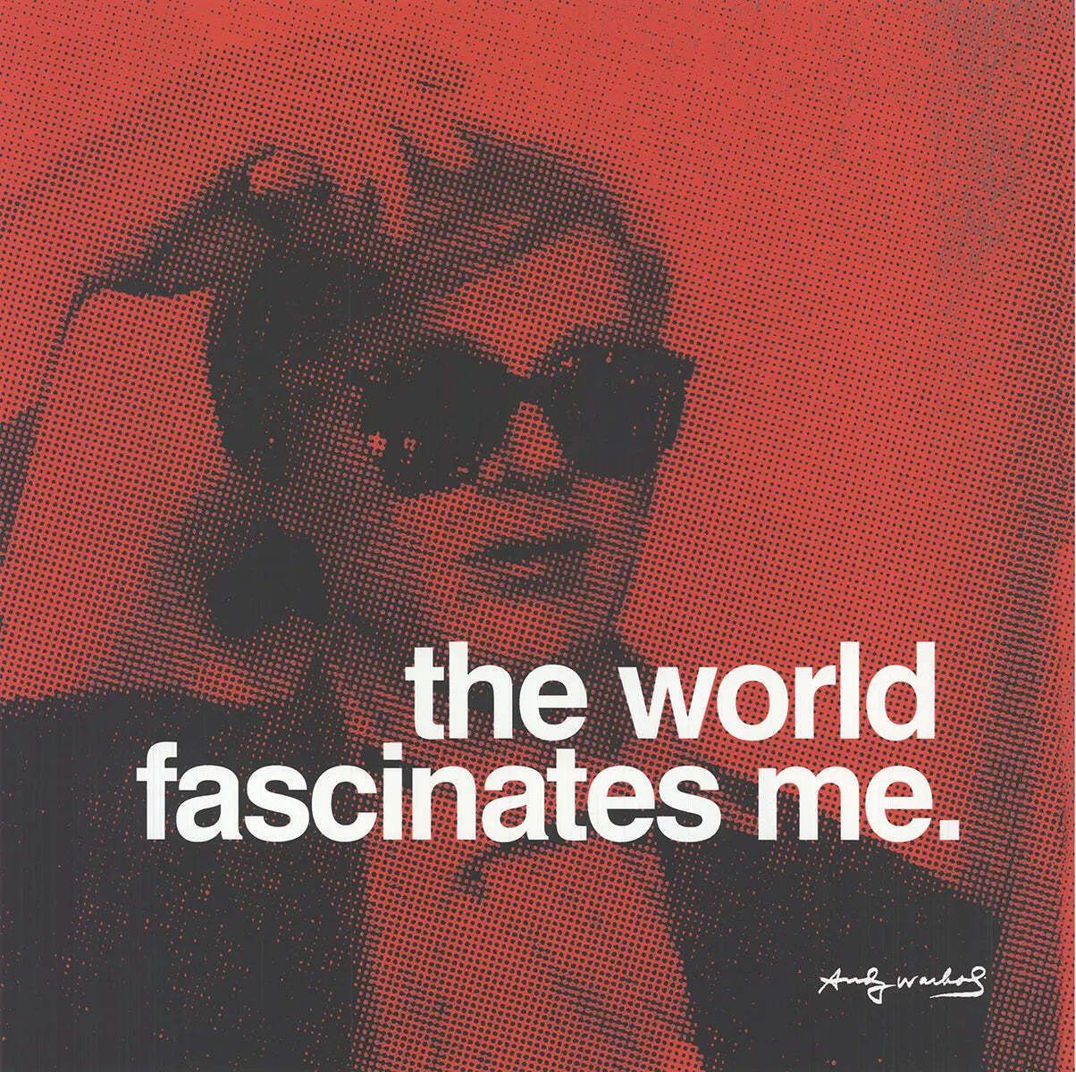 Andy Warhol The World Fascinates Me 2010 Offset Lithograph Art Poster photo furniture