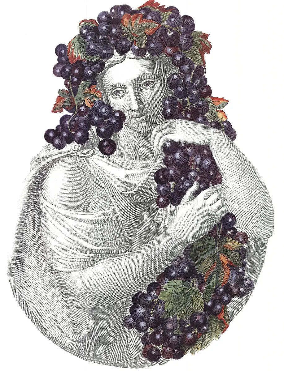 Affiche d'art, lithographie offset Piero Fornasetti Portrait With Grapes, 1995 photo furniture