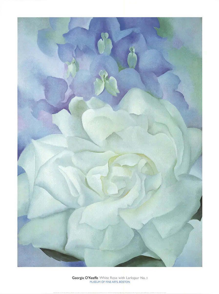 Affiche d'art Georgia O'Keeffe White Rose With Larkspur No.2