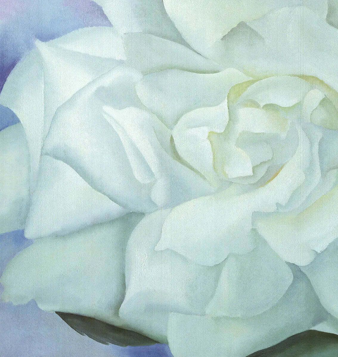 Affiche d'art Georgia O'Keeffe White Rose With Larkspur No.2 photo for sale