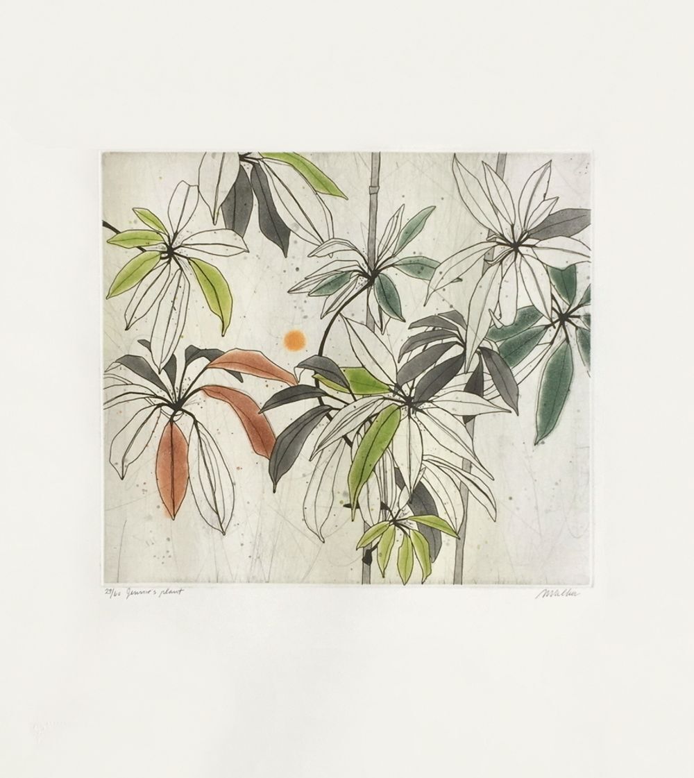 Anne Walker, eau-forte signée, Jennies Plant