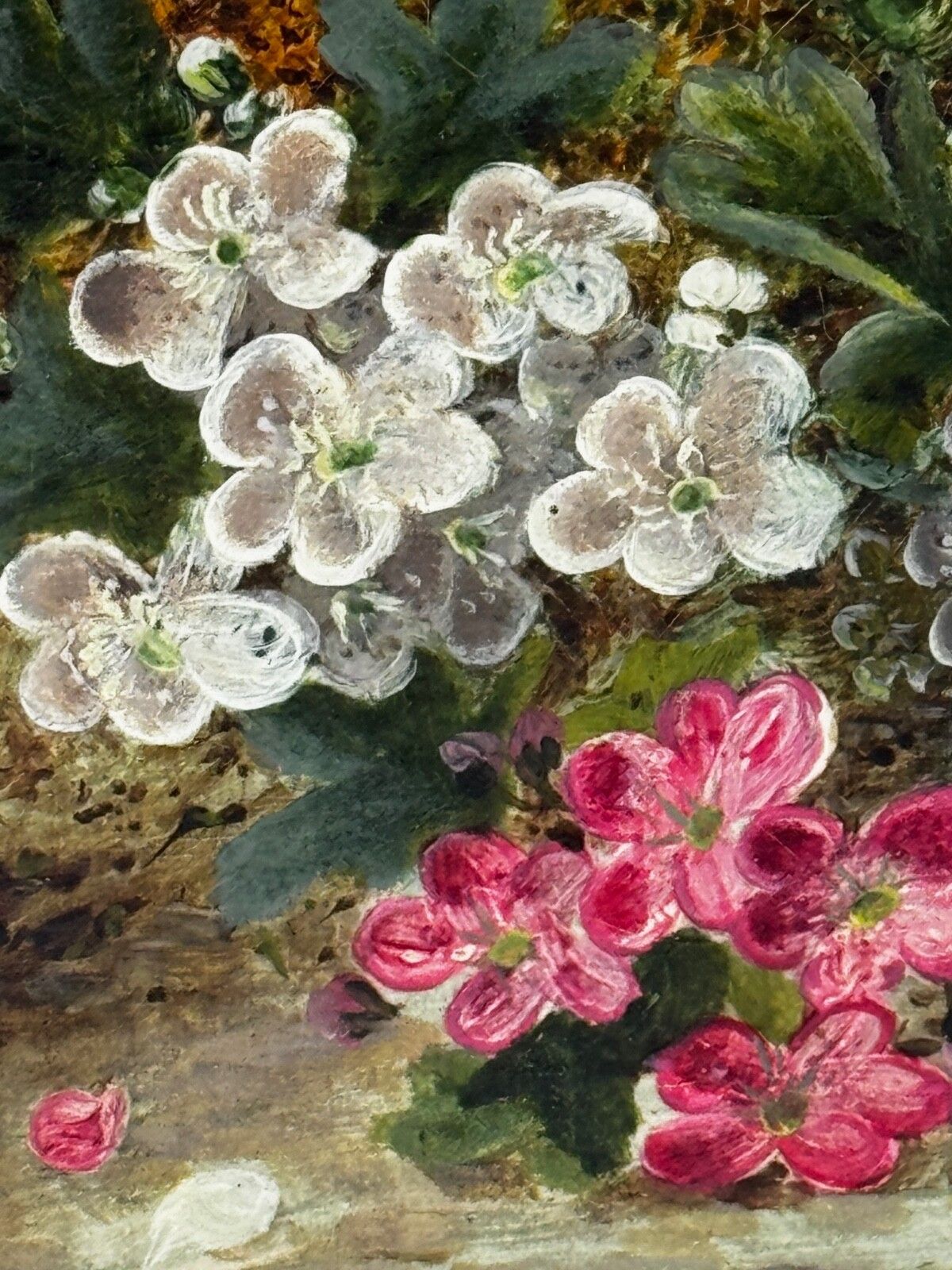 photo for sale Oliver Clare Victoriaans olieverfchilderij bloesem vogelnest & blauwe eieren ca.1880-1890