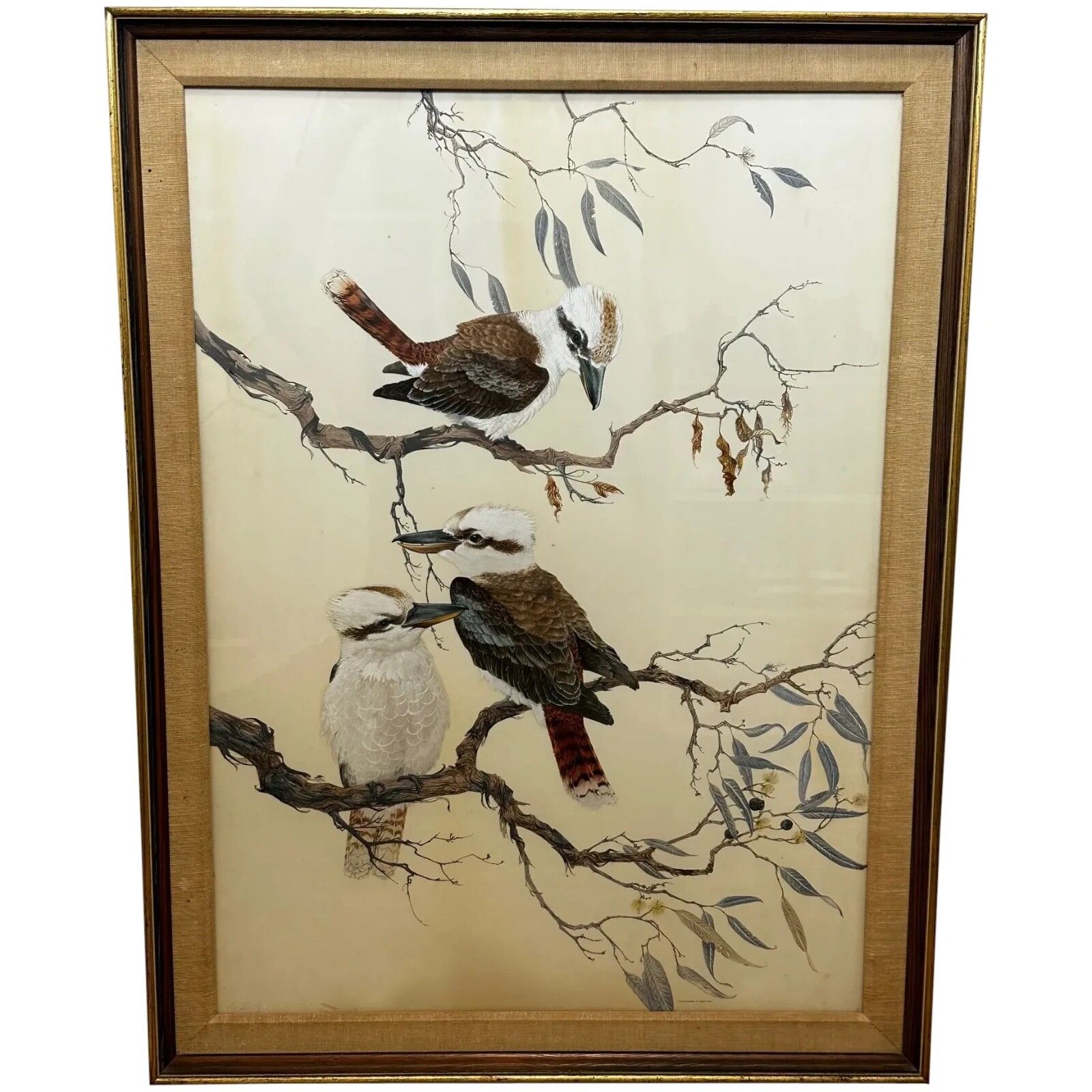 Groot mid-century Australisch schilderij, groep vogels, 3 kookaburras in de bush, gesigneerd Robin Hill