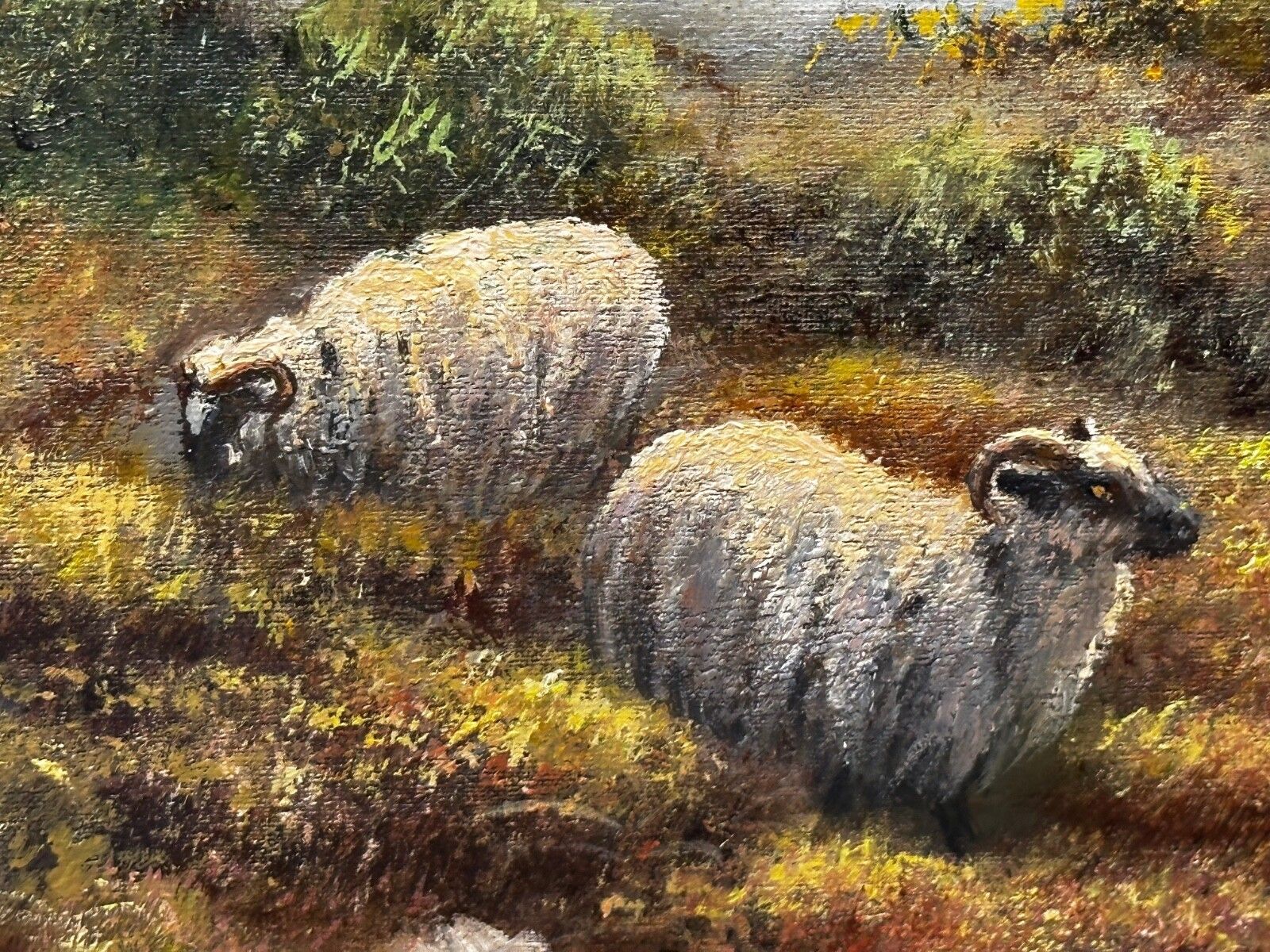 Vintage olieverfschilderij Schotse Hooglanden schapen in het Ben Nevis-gebergte door Wendy Reeves photo buy