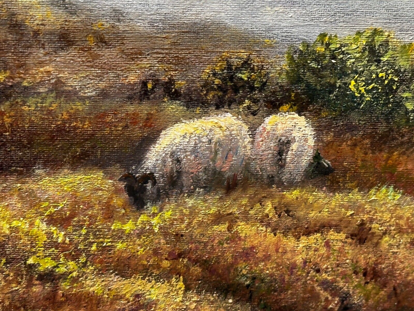 Vintage olieverfschilderij Schotse Hooglanden schapen in het Ben Nevis-gebergte door Wendy Reeves photo vintage