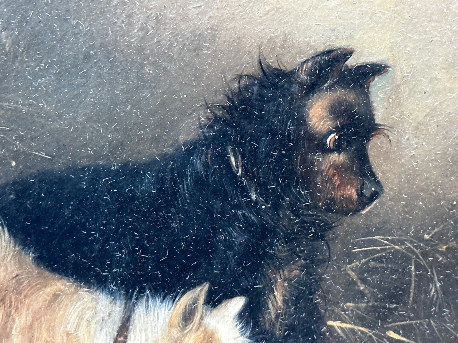 photo furniture 19e-eeuws olieverfchilderij jacht 2 terrierHonden op het spoor rattenJacht gesigneerd George Armfield gedateerd 1867