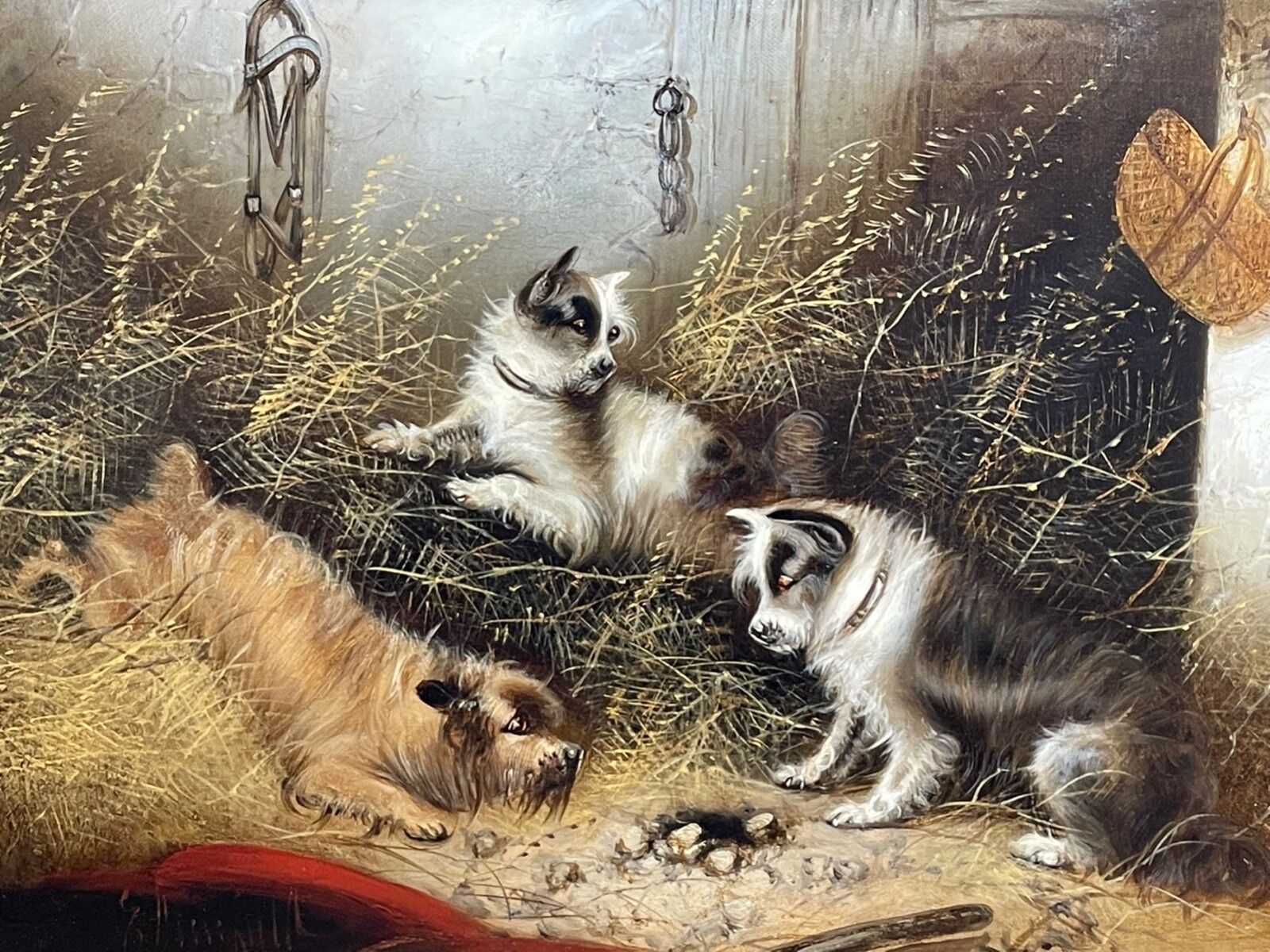 19e-eeuws olieverfchilderij met jachttafereel en terrriërs "A Sharp Lookout" van Edward Armfield photo furniture