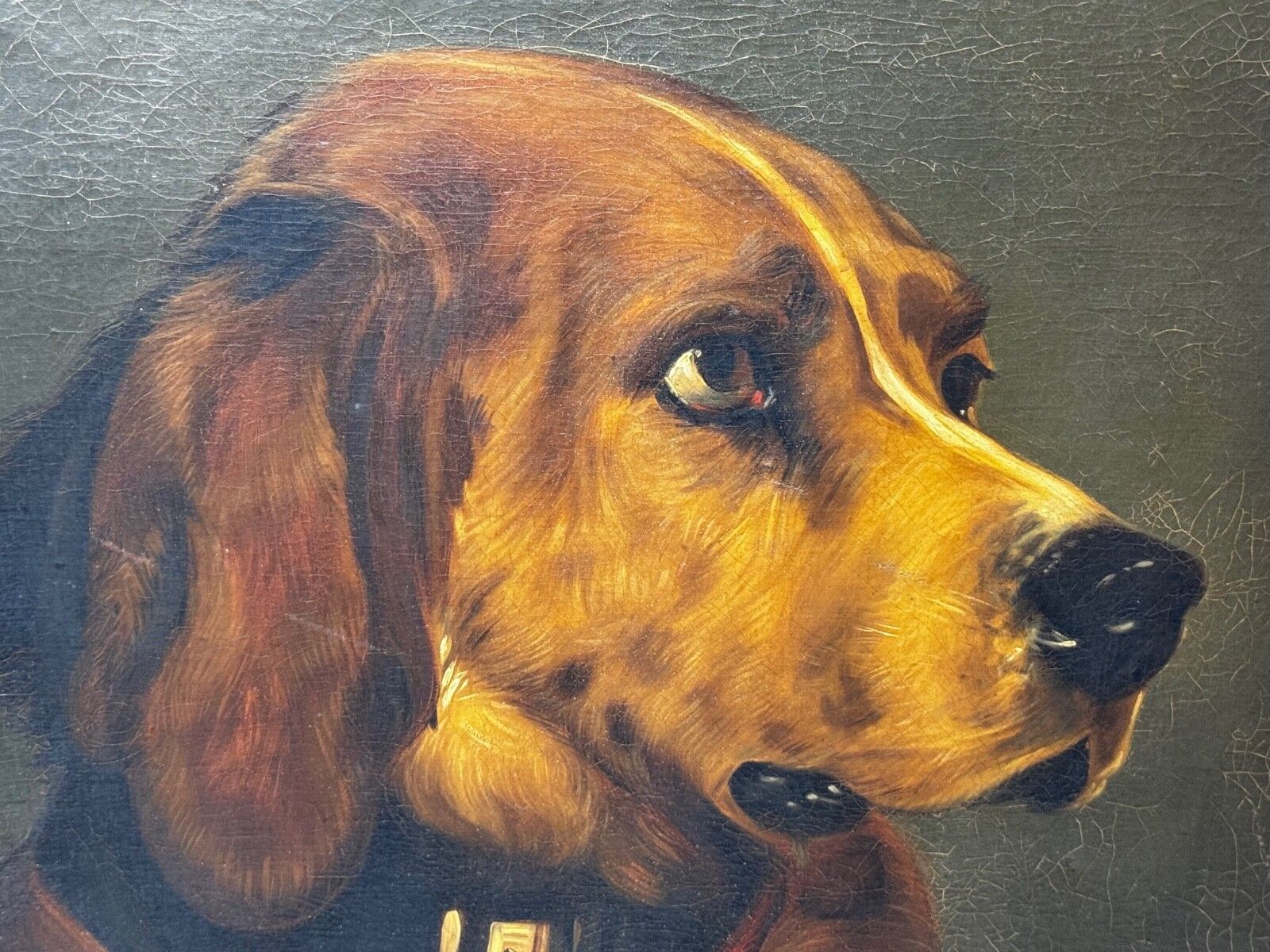 19e-eeuws olieverfchilderij, Landseer's Mastiff Bloodhound, geprezen hond Odin door William Mitchell van Maryport photo vintage