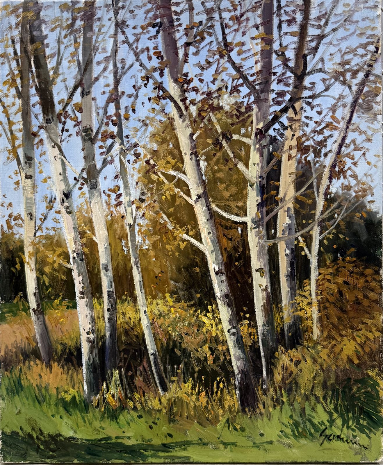 Antoni Sadurni Autumn Birch Forest Oil Painting Catalan Impressionist Woodland Landscape Spain 1990s
